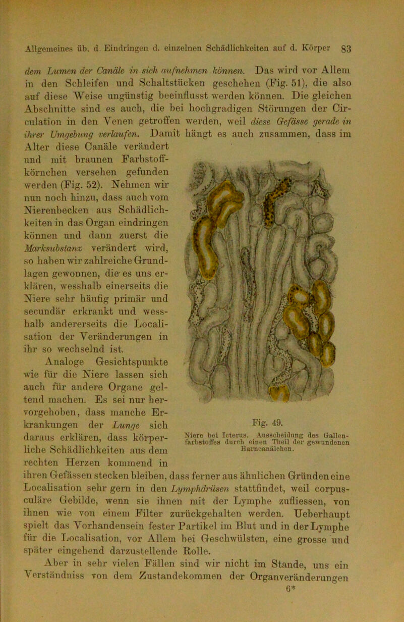 dem Lumen der Canäle in sich aufnehmen können. Das wird vor Allem in den Schleifen und Schaltstücken geschehen (Fig. 51), die also auf diese AVeise ungünstig beeinflusst werden können. Die gleichen Abschnitte sind es auch, die hei hochgradigen Störungen der Cir- culation in den Yenen getroffen werden, weil diese Gefässe geradem ihrer Umgehung verlaufen. Damit hängt es auch zusammen, dass im Alter diese Canäle verändert und mit braunen Farhstoff- körnchen versehen gefunden werden (Fig. 52). Nehmen wir nun noch hinzu, dass auch vom Nierenbecken aus Schädlich- keiten in das Organ eindringen können und dann zuerst die Markeubstanx verändert wird, so haben wir zahlreiche Grund- lagen gewonnen, die- es uns er- klären, wesshalb einerseits die Niere sehr häufig primär und secundär erkrankt und wess- halb andererseits die Locali- sation der Veränderungen in ihr so wechselnd ist. Analoge Gesichtspunkte wie für die Niere lassen sich auch für andere Organe gel- tend machen. Es sei nur her- vorgehoben, dass manche Er- krankungen der Lunge sich daraus erklären, dass körper- liche Schädlichkeiten aus dem rechten Herzen kommend in ihren Gefässen stecken bleiben, dass ferner aus ähnlichen Gründen eine Localisation sehr gern in den Ijymphdrüsen stattfindet, weil corpus- culäre Gebilde, wenn sie ihnen mit der Lymphe zufliessen, von ihnen wie von einem Filter zurückgehalten werden. Ueberhaupt spielt das Vorhandensein fester Partikel im Blut und in der Lymphe für die Localisation, vor Allem hei Geschwülsten, eine grosse und später eingehend darzustellende Rolle. Aber in sehr vielen Fällen sind wir nicht im Stande, uns ein Verständniss von dem Zustandekommen der Organveränderungen 6* Fig. 49. Niere bei Icterus. Ausscheidung des Gallen- farbstoffes durch einen Theil der gewundenen Harncanälchen.