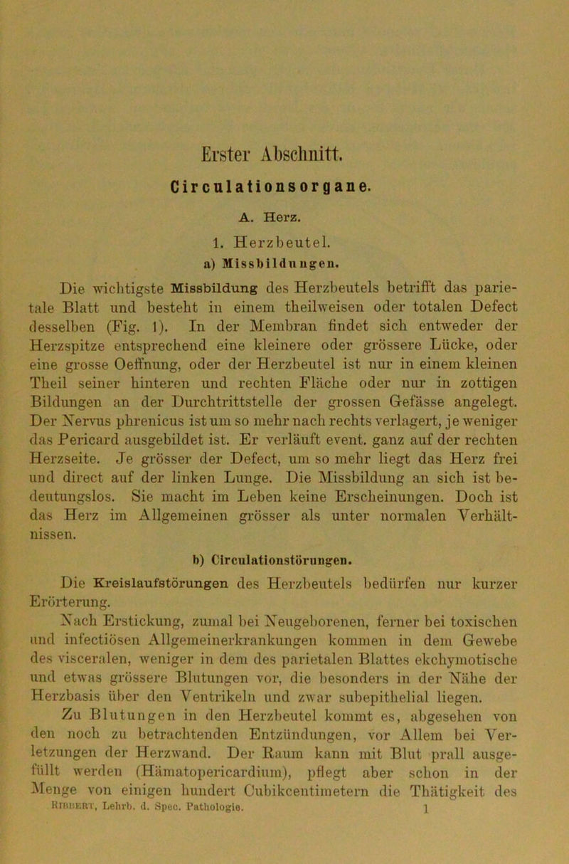 Erster Abschnitt. Circulationsorgane. A. Herz. 1. Herzbeutel. a) MissMlduugen. Die wichtigste Missbildung des Herzbeutels betrifft das parie- tale Blatt und besteht in einem theilweisen oder totalen Defect desselben (Fig. 1). In der Membran findet sich entweder der Herzspitze entsprechend eine kleinere oder grössere Lücke, oder eine grosse Oeffnung, oder der Herzbeutel ist nur in einem kleinen Theil seiner hinteren und rechten Fläche oder nur in zottigen Bildungen an der Durchtrittstelle der grossen Gefässe angelegt. Der Nervus phrenicus ist um so mehr nach rechts verlagert, je weniger das Pericard ausgehildet ist. Er verläuft event. ganz auf der rechten Herzseite. Je grösser der Defect, um so mehr liegt das Herz frei und direct auf der linken Lunge. Die Missbildung an sich ist be- deutungslos. Sie macht im Leben keine Erscheinungen. Doch ist das Herz im Allgemeinen grösser als unter normalen Verhält- nissen. b) Circuhitionstürungen. Die Kreislaufstörungen des Herzbeutels bedürfen nur kurzer Erörterung. Nach Erstickung, zumal bei Neugeborenen, ferner bei toxischen und infectiösen Allgemeinerkrankungen kommen in dem Gewebe des visceralen, weniger in dem des parietalen Blattes ekchymotische und etwas grössere Blutungen voi’, die besonders in der Nähe der Herzbasis über den Ventrikeln und zwar subepithelial liegen. Zu Blutungen in den Herzbeutel kommt es, abgesehen von den noch zu betrachtenden Entzündungen, vor Allem bei Ver- letzungen der Herzwand. Der Raum kann mit Blut prall ausge- füllt werden (Hämatopericardium), pflegt aber schon in der Menge von einigen hundert Cubikcentimetern die Thätigkeit des