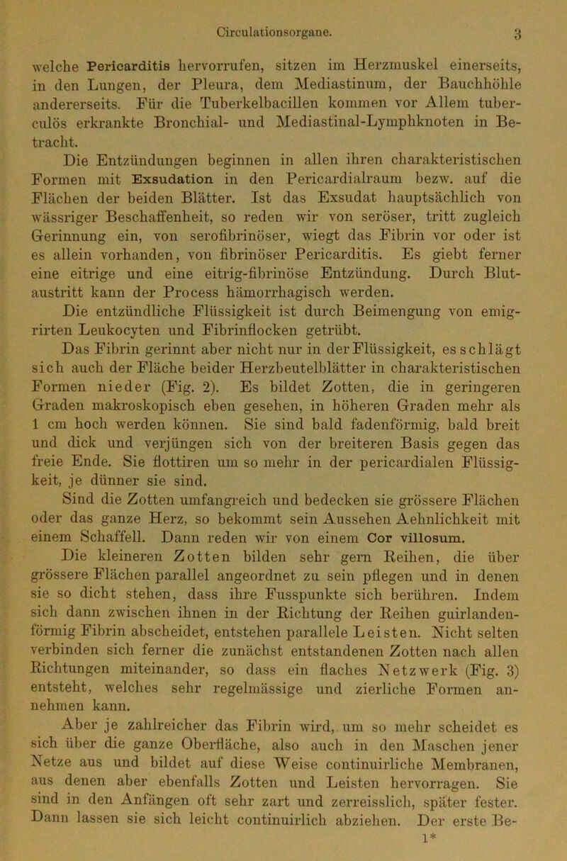 welche Periearditis hervorrufen, sitzen im Herzmuskel einerseits, in den Lungen, der Pleura, dem Mediastinum, der Bauchhöhle andererseits. Für die Tuberkelbacillen kommen vor Allem tuber- culös erkrankte Bronchial- und Mediastinal-Lymphknoten in Be- tracht. Die Entzündungen beginnen in allen ihren charakteristischen Formen mit Exsudation in den Pericardialraum bezw. auf die Flächen der beiden Blätter. Ist das Exsudat hauptsächlich von wässriger Beschaffenheit, so reden wir von seröser, tritt zugleich Gerinnung ein, von serofibrinöser, wiegt das Fibrin vor oder ist es allein vorhanden, von fibrinöser Periearditis. Es giebt ferner eine eitrige und eine eitrig-fibrinöse Entzündung. Durch Blut- austritt kann der Process hämorrhagisch werden. Die entzündliche Flüssigkeit ist durch Beimengung von emig- rirten Leukocyten und Fibrinflocken getrübt. Das Fibrin gerinnt aber nicht nur in der Flüssigkeit, es schlägt sich auch der Fläche beider Herzbeutelblätter in charakteristischen Formen nieder (Fig. 2). Es bildet Zotten, die in geringeren Graden makroskopisch eben gesehen, in höheren Graden mehr als 1 cm hoch werden können. Sie sind bald fadenförmig, bald breit und dick und verjüngen sich von der breiteren Basis gegen das freie Ende. Sie flottiren um so mehr in der pericardialen Flüssig- keit, je dünner sie sind. Sind die Zotten umfangreich und bedecken sie grössere Flächen oder das ganze Herz, so bekommt sein Aussehen Aehnlichkeit mit einem Schaffell. Dann reden wir von einem Cor villosum. Die kleineren Zotten bilden sehr gern Beihen, die über grössere Flächen parallel angeordnet zu sein pflegen und in denen sie so dicht stehen, dass ihre Fusspunkte sich berühren. Indem sich dann zwischen ihnen in der Bichtung der Beihen guirlanden- förmig Fibrin abscheidet, entstehen parallele Leisten. Nicht selten verbinden sich ferner die zunächst entstandenen Zotten nach allen Bichtungen miteinander, so dass ein flaches Netzwerk (Fig. 3) entsteht, welches sehr regelmässige und zierliche Formen an- nehmen kann. Aber je zahlreicher das Fibrin wird,, um so mehr scheidet es sich über die ganze Oberfläche, also auch in den Maschen jener Netze aus und bildet auf diese Weise continuirliche Membranen, aus denen aber ebenfalls Zotten und Leisten hervorragen. Sie sind in den Anfängen oft sehr zart und zerreisslich, später fester. Dann lassen sie sich leicht continuirlich abziehen. Der erste Be- l*