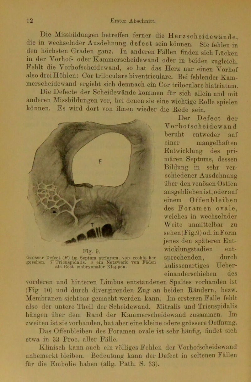 Die Missbildungen betreffen ferner die Herzscheidewände, die in wechselnder Ausdehnung defect sein können. Sie fehlen in den höchsten Graden ganz. In anderen Fällen finden sich Lücken in der Vorhof- oder Kammerscheidewand oder in beiden zugleich. Fehlt die Vorhofscheidewand, so hat das Herz nur einen Vorhof also drei Höhlen: Cor triloculare biventriculare. Bei fehlender Kam- merscheidewand ergiebt sich demnach ein Cor triloculare biatriatum. Die Defecte der Scheidewände kommen für sich allein und mit anderen Missbildungen vor, bei denen sie eine wichtige Rolle spielen können. Es wird dort von ihnen wieder die Rede sein. vorderen und hinteren Limbus entstandenen Spaltes vorhanden ist (Fig 10) und durch divergirenden Zug an beiden Rändern, bezw. Membranen sichtbar gemacht werden kann. Im ersteren Falle fehlt hängen über dem Rand der Kammerscheidewand zusammen. Im zweiten ist sie vorhanden, hat aber eine kleine ödere grössere Oeffnung. Das Offenbleiben des Foramen ovale ist sehr häufig, findet sich etwa in 33 Proc. aller Fälle. Klinisch kann auch ein völliges Fehlen der Vorhofscheidewand unbemerkt bleiben. Bedeutung kann der Defect in seltenen Fällen für die Embolie haben (allg. Path. S. 33). Der Defect der Vorhofscheidewan d beruht entweder auf einer mangelhaften Entwicklung des pri- mären Septums, dessen Bildung in sehr ver- schiedener Ausdehnung über den venösen Ostien ausgeblieben ist, oder auf einem Offen bleiben des Foramen ovale, welches in wechselnder Weite unmittelbar zu sehen (Fig.9)od. in Form jenes den späteren Ent- wicklungstadien ent- sprechenden, durch kulissenartiges TTeber- einanderschieben des also der untere Theil der Scheidewand. Mitralis und Tricuspidalis