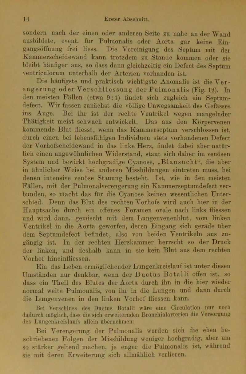 sondern nach der einen oder anderen Seite zu nahe an der Wand ausbildete, event. für Pulmonalis oder Aorta gar keine Ein- gangsöffnung frei liess. Die Vereinigung des Septum mit der Kammerscheidewand kann trotzdem zu Stande kommen oder sie bleibt häufiger aus, so dass dann gleichzeitig ein Defect des Septum ventriculorum unterhalb der Arterien vorhanden ist. Die häufigste und praktisch wichtigste Anomalie ist die Ver- engerung oder Verschliessung der Pulmonalis (Fig. 12). In den meisten Fällen (etwa 9:1) findet sich zugleich ein Septum- defect. Wir fassen zunächst die völlige Unwegsamkeit des Gefässes ins Auge. Bei ihr ist der rechte Ventrikel wegen mangelnder Thätigkeit meist schwach entwickelt. Das aus den Körpervenen kommende Blut fliesst, wenn das Kammerseptum verschlossen ist, durch einen bei lebensfähigen Individuen stets vorhandenen Defect der Vorhofscheidewand in das linke Herz, findet dabei aber natür- lich einen ungewöhnlichen Widerstand, staut sich daher im venösen System und bewirkt hochgradige Cyanose, „Blausucht“, die aber in ähnlicher Weise bei anderen Missbildungen eintreten muss, bei denen intensive venöse Stauung besteht. Ist, wie in den meisten Fällen, mit der Pulmonalverengerung ein Ivammerseptumdefect ver- bunden, so macht das für die Cyanose keinen wesentlichen Unter- schied. Denn das Blut des rechten Vorhofs wird auch hier in der Hauptsache durch ein offenes Foramen ovale nach links fliessen und wird dann, gemischt mit dem Lungenvenenblut, vom linken Ventrikel in die Aorta geworfen, deren Eingang sich gerade über dem Septumdefect befindet, also von beiden Ventrikeln aus zu- gängig ist. In der rechten Herzkammer herrscht so der Druck der linken, und deshalb kann in sie kein Blut aus dem rechten Vorhof hineinfliessen. Ein das Leben ermöglichender Lungenkreislauf ist unter diesen Umständen nur denkbar, wenn der Ductus Botalli offen ist, so dass ein Theil des Blutes der Aorta durch ihn in die hier wieder normal weite Pulmonalis, von ihr in die Lungen und dann durch die Lungenvenen in den linken Vorhof ffiessen kann. Bei Verschluss des Ductus Botalli wäre eine Circulation nur noch dadurch möglich, dass die sich erweiternden Bronchialarterien die Versorgung des Lungenkreislaufs allein übernehmen: Bei Verengerung der Pulmonalis werden sich die eben be- schriebenen Folgen der Missbildung weniger hochgradig, aber um so stärker geltend machen, je enger die Pulmonalis ist, während sie mit deren Erweiterung sich allmählich verlieren.