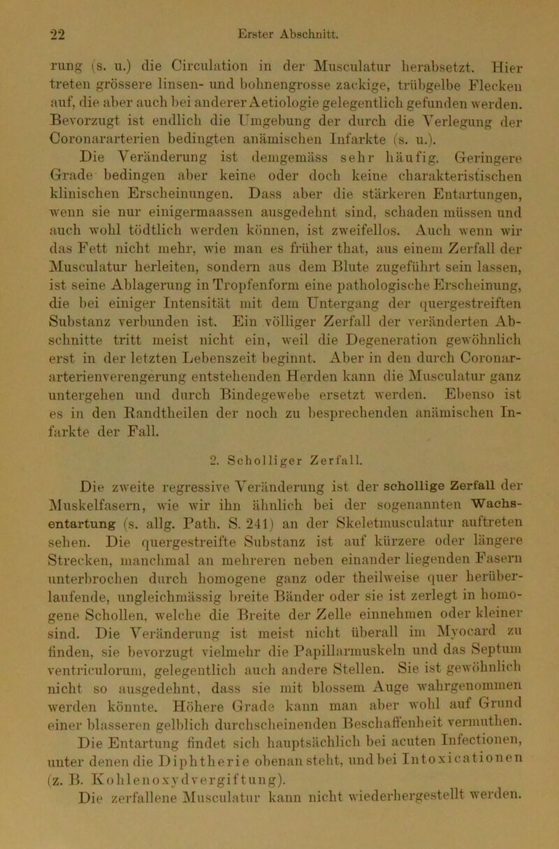rung (s. u.) die Circulation in der Musculatur herabsetzt. Hier treten grössere linsen- und bohnengrosse zackige, trübgelbe Flecken auf, die aber auch bei anderer Aetiologie gelegentlich gefunden werden. Bevorzugt ist endlich die Umgebung der durch die Verlegung der Coronararterien bedingten anämischen Infarkte (s. u.). Die Veränderung ist demgemäss sehr häufig. Geringere Grade bedingen aber keine oder doch keine charakteristischen klinischen Erscheinungen. Dass aber die stärkeren Entartungen, wenn sie nur einigermaassen ausgedehnt sind, schaden müssen und auch wohl tödtlich werden können, ist zweifellos. Auch wenn wir das Fett nicht mehr, wie man es früher t.hat, aus einem Zerfall der Musculatur herleiten, sondern aus dem Blute zugeführt sein lassen, ist seine Ablagerung in Tropfenform eine pathologische Erscheinung, die bei einiger Intensität mit dem Untergang der quergestreiften Substanz verbunden ist. Ein völliger Zerfall der veränderten Ab- schnitte tritt meist nicht ein, weil die Degeneration gewöhnlich erst in der letzten Lebenszeit beginnt. Aber in den durch Coronar- arterienverengerung entstehenden Herden kann die Musculatur ganz untergehen und durch Bindegewebe ersetzt werden. Ebenso ist es in den Randtheilen der noch zu besprechenden anämischen In- farkte der Fall. 2. Scholliger Zerfall. Die zweite regressive Veränderung ist der schollige Zerfall der Muskelfasern, wie wir ihn ähnlich bei der sogenannten Wachs- entartung (s. allg. Path. S. 241) an der Skeletmusculatur auftreten sehen. Die quergestreifte Substanz ist auf kürzere oder längere Strecken, manchmal an mehreren neben einander liegenden Fasern unterbrochen durch homogene ganz oder theilweise quer herüber- laufende, ungleichmässig breite Bänder oder sie ist zerlegt in homo- gene Schollen, welche die Breite der Zelle einnehmen oder kleiner sind. Die Veränderung ist meist nicht überall im Myocard zu finden, sie bevorzugt vielmehr die Papillarmuskeln und das Septum ventriculorum, gelegentlich auch andere Stellen. Sie ist gewöhnlich nicht so ausgedehnt, dass sie mit blossem Auge wahrgenommen werden könnte. Höhere Grade kann man aber wohl auf Grund einer blässeren gelblich durchscheinenden Beschaffenheit vermuthen. Die Entartung findet sich hauptsächlich bei acuten Infectionen, unter denen die Diphtherie obenan steht, und bei Intoxicationen (z. B. Kohlenoxydvergiftung). Die zerfallene Musculatur kann nicht wiederhergestellt werden.