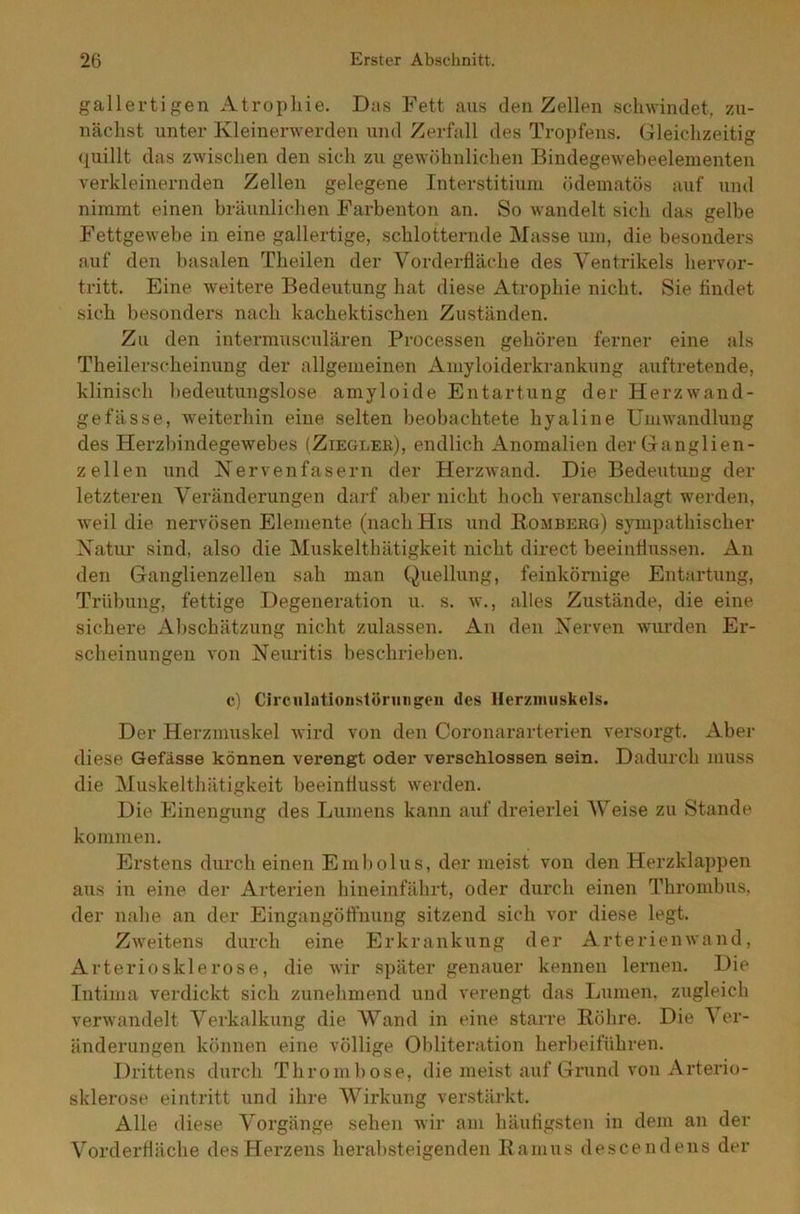 gallertigen Atrophie. Das Fett aus den Zellen schwindet, zu- nächst unter Kleinerwerden und Zerfall des Tropfens. Gleichzeitig quillt das zwischen den sich zu gewöhnlichen Bindegewebeelementen verkleinernden Zellen gelegene Interstitium ödematös auf und nimmt einen bräunlichen Farbenton an. So wandelt sich das gelbe Fettgewebe in eine gallertige, schlotternde Masse um, die besonders auf den basalen Theilen der Yorderfläche des Ventrikels hervor- tritt. Eine weitere Bedeutung hat diese Atrophie nicht. Sie findet sich besonders nach kachektisehen Zuständen. Zu den intermusculären Processen gehören ferner eine als Theilerscheinung der allgemeinen Amyloiderkrankung auftretende, klinisch bedeutungslose amyloide Entartung der Herzwand- gefässe, weiterhin eine selten beobachtete hyaline Umwandlung des Herzbindegewebes (Ziegler), endlich Anomalien der Ganglien- zellen und Nervenfasern der Herzwand. Die Bedeutung der letzteren Veränderungen darf aber nicht hoch veranschlagt werden, weil die nervösen Elemente (nach His und Homberg) sympathischer Natur sind, also die Muskelthätigkeit nicht direct beeinflussen. An den Ganglienzellen sah man Quellung, feinkörnige Entartung, Trübung, fettige Degeneration u. s. w., alles Zustände, die eine sichere Abschätzung nicht zulassen. An den Nerven wurden Er- scheinungen von Neuritis beschrieben. c) CirculntioustÖrungen des Herzmuskels. Der Herzmuskel wird von den Coronararterien versorgt. Aber diese Gefässe können verengt oder verschlossen sein. Dadurch muss die Muskelthätigkeit beeinflusst werden. Die Einengung des Lumens kann auf dreierlei Weise zu Stande kommen. Erstens durch einen Embolus, der meist von den Herzklappen aus in eine der Arterien hineinfährt, oder durch einen Thrombus, der nahe an der Eingangöffnung sitzend sich vor diese legt. Zweitens durch eine Erkrankung der Arterien wand, Arteriosklerose, die wir später genauer kennen lernen. Die Intima verdickt sich zunehmend und verengt das Lumen, zugleich verwandelt Verkalkung die Wand in eine starre Röhre. Die Ver- änderungen können eine völlige Obliteration herbeiführen. Drittens durch Thrombose, die meist auf Grund von Arterio- sklerose eintritt und ihre Wirkung verstärkt. Alle diese Vorgänge sehen wir am häufigsten in dem an der Vorderfläche des Herzens herabsteigenden Ramus descendens der