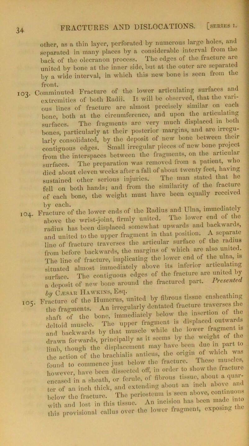 io3- 104. I05 FRACTURES AND DISLOCATIONS. [series t. other, as a thin layer, perforated by numerous large holes, and separated in many places by a considerable interval from the back of the olecranon process. The edges of the fracture are united by bone at the inner side, but at the outer are separated by a wide interval, in which this new bone is seen from the front. , Comminuted Fracture of the lower articulating surfaces ana extremities of both Radii. It will be observed, that the vari- ous lines of fracture are almost precisely similar on each bone, both at the circumference, and upon the articulating surfaces. The fragments are very much displaced in both bones, particularly at their posterior margins, and are irregu- larly consolidated, by the deposit of new bone between their contiguous edges. Small irregular pieces of new bone project from the interspaces between the fragments, on the articular surfaces. The preparation was removed from a patient, who died about eleven weeks after a fall of about twenty feet, hav ing sustained other serious injuries. The man stated that he fell on both hands; and from the similarity of the fracture of each bone, the weight must have been equally received Frarturfof the lower ends of the Radius and Ulna, immediately above the wrist-joint, firmly united. The lower end of the radius has been displaced somewhat upwards and backwards, and united to the upper fragment in that position. A separate line of fracture traverses the articular surface of the radius from before backwards, the margins of which are also united. The line of fracture, implicating the lower end of the ulna, is situated almost immediately above its inferior articulating surface. The contiguous edges of the fracture are united >y a deposit of new bone around the fractured part. I resented bn Caesar Hawkins, Esq. _ ,t . Fracture of the Humerus, united by fibrous tissue ensheathmg the fragments. An irregularly dentated fracture traverses he shaft of the bone, immediately below the insertion of the deltoid muscle. The upper fragment is displaced outwards and backwards by that muscle while the lower fr?Sraen drawn forwards, principally as it seems by the weight of the limb, though the displacement may have been due in part to he action of the brachialis anticus, the origin of which was found to commence just below the fracture. These muscles however, have been dissected off, in order to show the fracture encased in a sheath, or ferule, of fibrous tissue, about a quai- ter of an inch thick, and extending about an inch above and below the fracture. The periosteum is seen above, conti uous with and lost in this tissue. An incision has been made into this provisional callus over the lower fragment, exposin.