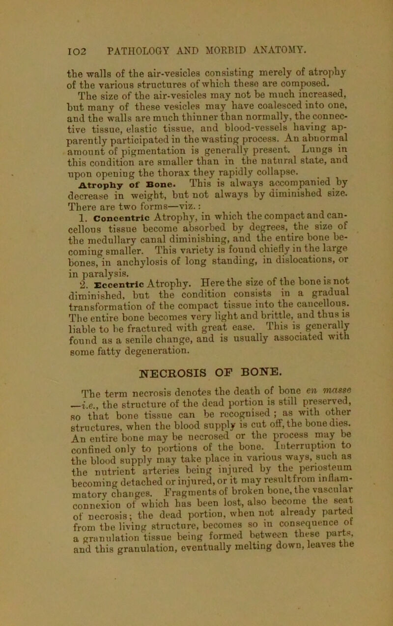 the walls of the air-vesicles consisting merely of atrophy of the various structures of which these are composed. The size of the air-vesicles may not he much increased, hut many of these vesicles may have coalesced into one, and the walls are much thinner than normally, the connec- tive tissue, elastic tissue, and blood-vessels having ap- parently participated in the wasting process. An abnormal amount of pigmentation is generally present. Lungs in this condition are smaller than in the natural state, and upon opening the thorax they rapidly collapse. Atrophy of Bone. This is always accompanied by decrease in weight, but not always by diminished size. There are two forms—viz.: 1. Concentric Atrophy, in which the compact and can- cellous tissue become absorbed by degrees, the size of the medullary canal diminishing, and the entire bone be- coming smaller. This variety is found chiefly in the large bones, in anchylosis of long standing, in dislocations, or in paralysis. . 2. Eccentric Atrophy. Here the size of the bone is not diminished, but the condition consists in a gradual transformation of the compact tissue into the cancellous. The entire bone becomes very light and brittle, and thus is liable to be fractured with great ease. This is generally found as a senile change, and is usually associated with some fatty degeneration. NECROSIS OF BONE. The term necrosis denotes the death of bone en masse the structure of the dead portion is still preserved, so that bone tissue can be recognised; as with other structures, when the blood supply is cut off, the bone dies. An entire bone may be necrosed or the process may be confined only to portions of the bone. Interruption to the blood supply may take place in various ways, such as the nutrient arteries being injured by the periosteum becoming detached or injured, or it may resultfrom inflam- matory changes. Fragments of broken bone, the vascular connexion of which has been lost, also become the seat of necrosis; the dead portion, when not already parted from the living structure, becomes so in consequence ot a granulation tissue being formed between these parts, and this granulation, eventually melting down, leaves the