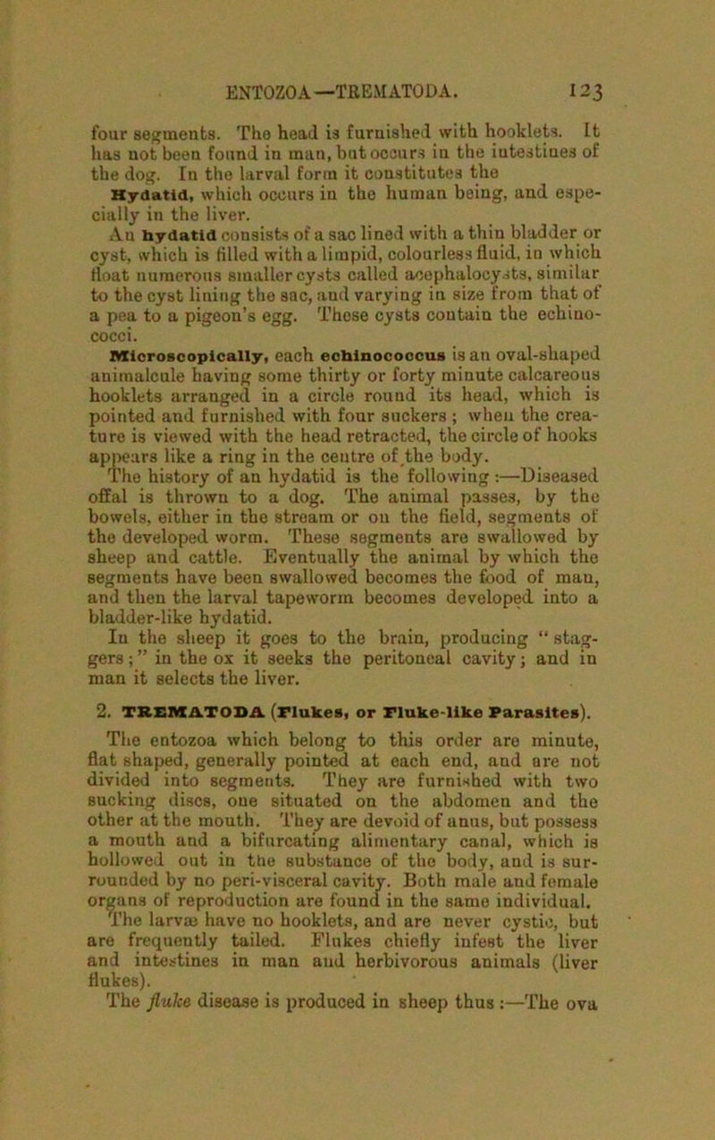 four segments. The head is furnished with booklets. It has not been found in man, but occurs iu the intestines of the dog. In the larval form it constitutes the Hydatid, which occurs in the human being, and espe- cially in the liver. An hydatid consists of a sac lined with a thin bladder or cyst, which is filled with a limpid, colourless fluid, in which float numerous smaller cysts called aoephalocysts, similar to the cyst lining the sac, and varying in size from that of a pea to a pigeon’s egg. These cysts contain tlie echino- cocci. Microscopically, each ecbinococcus is an oval-sliaped animalcule having some thirty or forty minute calcareous hooklets arranged in a circle round its head, which is pointed and furnished with four suckers ; when the crea- ture is viewed with the head retracted, the circle of hooks appears like a ring in the centre of the body. The history of an hydatid is the following :—Diseased offal is thrown to a dog. The animal passes, by the bowels, either in the stream or on the field, segments of the developed worm. These segments are swallowed by sheep and cattle. Eventually the animal by which the segments have been swallowed becomes the food of man, and then the larval tapeworm becomes developed into a bladder-like hydatid. In the sheep it goes to the brain, producing “ stag- gers ; ” in the ox it seeks the peritoneal cavity; and in man it selects the liver. 2. TREMATODA. (Flukes, or Fluke-like Parasites). The entozoa which belong to this order are minute, flat shaped, generally pointed at each end, and are not divided into segments. They are furnished with two sucking discs, oue situated on the abdomen and the other at the mouth. They are devoid of anus, but possess a mouth and a bifurcating alimentary canal, which is hollowed out in the substance of the body, and is sur- rounded by no peri-visceral cavity. Both male and female organs of reproduction are found in the same individual. The larvae have no hooklets, and are never cystic, but are frequently tailed. Flukes chiefly infest the liver and intestines in man and herbivorous animals (liver flukes). The fluke disease is produced in sheep thus :—The ova