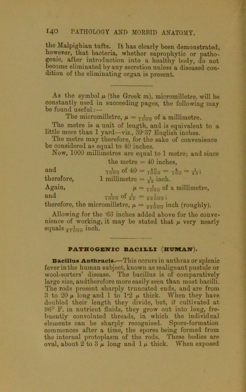 the Malpighian tufts. It has clearly been demonstrated, however, that bacteria, whether saprophytic or patho- genic, after introduction into a healthy body, do not become eliminated by any secretion unless a diseased con- dition of the eliminating organ is present. As the symbol p (the Greek m), micromilletre, will be constantly used in succeeding pages, the following may be found useful:— The micromilletre, n = a millimetre. The metre is a unit of length, and is equivalent to a little more than 1 yard—viz., 39'37 English inches. The metre may therefore, for the sake of convenience be considered as equal to 40 inches. Now, 1000 millimetres are equal to 1 metre; and since the metre = 40 inches, ToW = _±o_ 10 0 6 1 millimetre = inch. 1 OO = JL- 2 5 > H = xds'6 a millimetre. and therefore, Again, au(^ Toffo ~ 'isdWS» therefore, the micromilletre, n = xxbuo inch (roughly). Allowing for the ’63 inches added above for the conve- nience of working, it may be stated that fi very nearly equals xraoa inch. PATHOGENIC BACILLI (HUMAN). Bacillus Anthracis.—This occurs in anthrax or splenic fever in the human subject, known as malignant pustule or wool-sorters’ disease. The bacillus is of comparatively large size, audtherefore more easily seen than most bacilli. The rods present sharply truncated ends, and are from 3 to 20 n long and 1 to 1*2 /* thick. When they have doubled their length they divide, but, if cultivated at 96° F. in nutrient fluids, they grow out into long, fre- bueutly convoluted threads, in which the individual elements can be sharply recognised. Spore-formation commences after a time, the spores being formed from the internal protoplasm of the rods. These bodies are oval, about 2 to 3 n long and 1 fx thick. When exposed