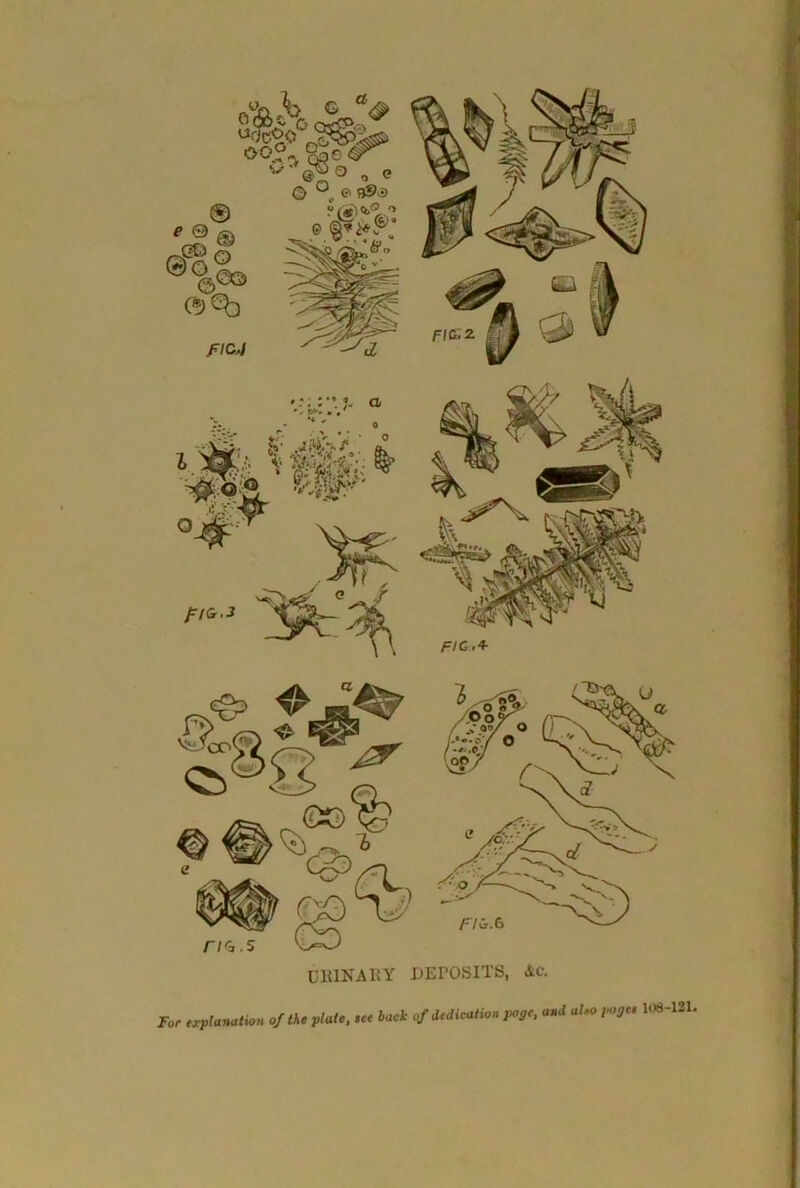 U1UNAKY DEPOSITS, Ac. and abo pages 108-121. For explanation 0/the plate, tee back of dedication page,