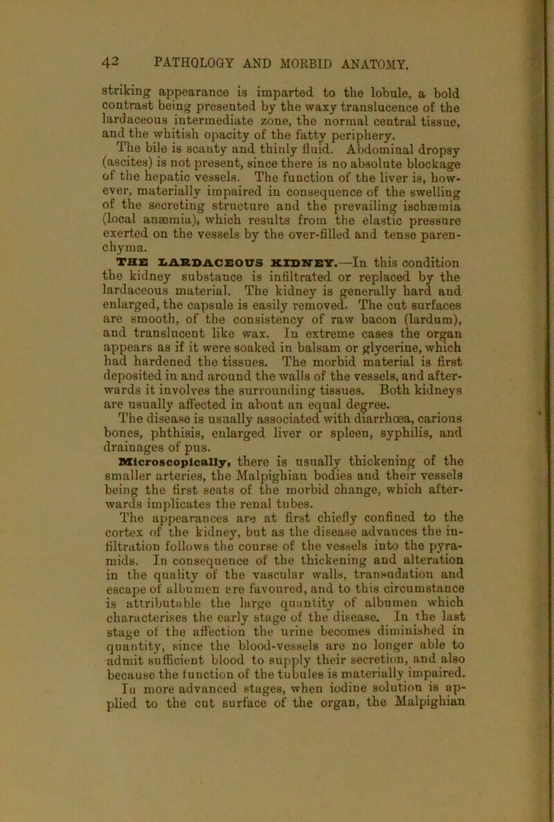 striking appearance is imparted to the lobule, a bold contrast being presented by the waxy translucence of the lardaceous intermediate zone, the normal central tissue, and the whitish opacity of the fatty periphery. The bile is scanty and thinly fluid. Abdominal dropsy (ascites) is not present, since there is no absolute blockage of the hepatic vessels. The function of the liver is, how- ever, materially impaired in consequence of the swelling of the secreting structure and the prevailing ischaemia (local anaemia), which results from the elastic pressure exerted on the vessels by the over-filled and tense paren- chyma. the LARDACEOUS kidney.—In this condition the kidney substance is infiltrated or replaced by the lardaceous material. The kidney is generally hard and enlarged, the capsule is easily removed. The cut surfaces are smooth, of the consistency of raw bacon (lardum), and translucent like wax. In extreme cases the organ appears as if it were soaked in balsam or glycerine, which had hardened tho tissues. The morbid material is first deposited in and around the walls of the vessels, and after- wards it involves the surrounding tissues. Both kidneys are usually affected in about an equal degree. The disease is usually associated with diarrhoea, carious bones, phthisis, enlarged liver or spleen, syphilis, and drainages of pus. Microscopically, there is usually thickening of the smaller arteries, the Malpighian bodies and their vessels being the first seats of the morbid change, which after- wards implicates the renal tubes. The appearances are at first chiefly confined to the cortex of the kidney, but as the disease advances the in- filtration follows the course of the vessels into the pyra- mids. In consequence of the thickening and alteration in the quality of the vascular walls, transudation and escape of albumen are favoured, and to this circumstance is attributable the large quantity of albumen which characterises the early stage of the disease. In the last stage of the affection the urine becomes diminished in quantity, since the blood-vessels are no longer able to admit sufficient blood to supply their secretion, and also because the function of the tubules is materially impaired. In more advanced stages, when iodine solution is ap- plied to the cut surface of the organ, the Malpighian