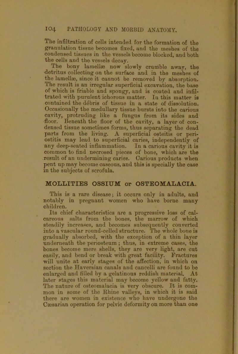 The infiltration of cells intended for the formation of the granulation tissue becomes fixed, and the meshes of the condensed tissues in the vessels become blocked, and both the cells aud the vessels decay. The bony lamellae now slowly crumble away, the detritus collecting on the surface and in the meshes of the lamellae, since it cannot be removed by absorption. The result is an irregular superficial excavation, the base of which is friable and spongy, and is coated and infil- trated with purulent ichorous matter. In this matter is contained the ddbris of tissue in a state of dissolution. Occasionally the medullary tissue bursts into the carious cavity, protruding like a fungus from its sides and floor. Beneath the floor of the cavity, a layer of con- densed tissue sometimes forms, thus separating the dead parts from the living. A superficial osteitis or peri- ostitis may lead to superficial caries, independently of any deep-seated inflammation. In a carious cavity it is common to find necrosed pieces of bone, which are the result of an undermining caries. Carious products when pent up may become caseous, and this is specially the case in the subjects of scrofula. MOLLITIES OSSIUM or OSTEOMALACIA. This is a rare disease; it occurs only in adults, and notably in pregnant women who have borne many children. Its chief characteristics are a progressive loss of cal- careous salts from the bones, the marrow of which steadily increases, and becomes subsequently converted into a vascular round-celled structure. The whole bone is gradually absorbed, with the exception of a thin layer underneath the periosteum; thus, in extreme cases, the bones become mere shells, they are very light, are cut easily, and bend or break with great facility. Fractures will unite at early stages of the affection, in which on section the Haversian canals and cancelli are found to be enlarged and filled by a gelatinous reddish material. At later stages this material may become yellow and fatty. The nature of osteomalacia is very obscure. It is com- mon in some of the Rhine valleys, in which it is said there are women in existence who have undergone the Cmsarian operation for pelvic deformity on more than one
