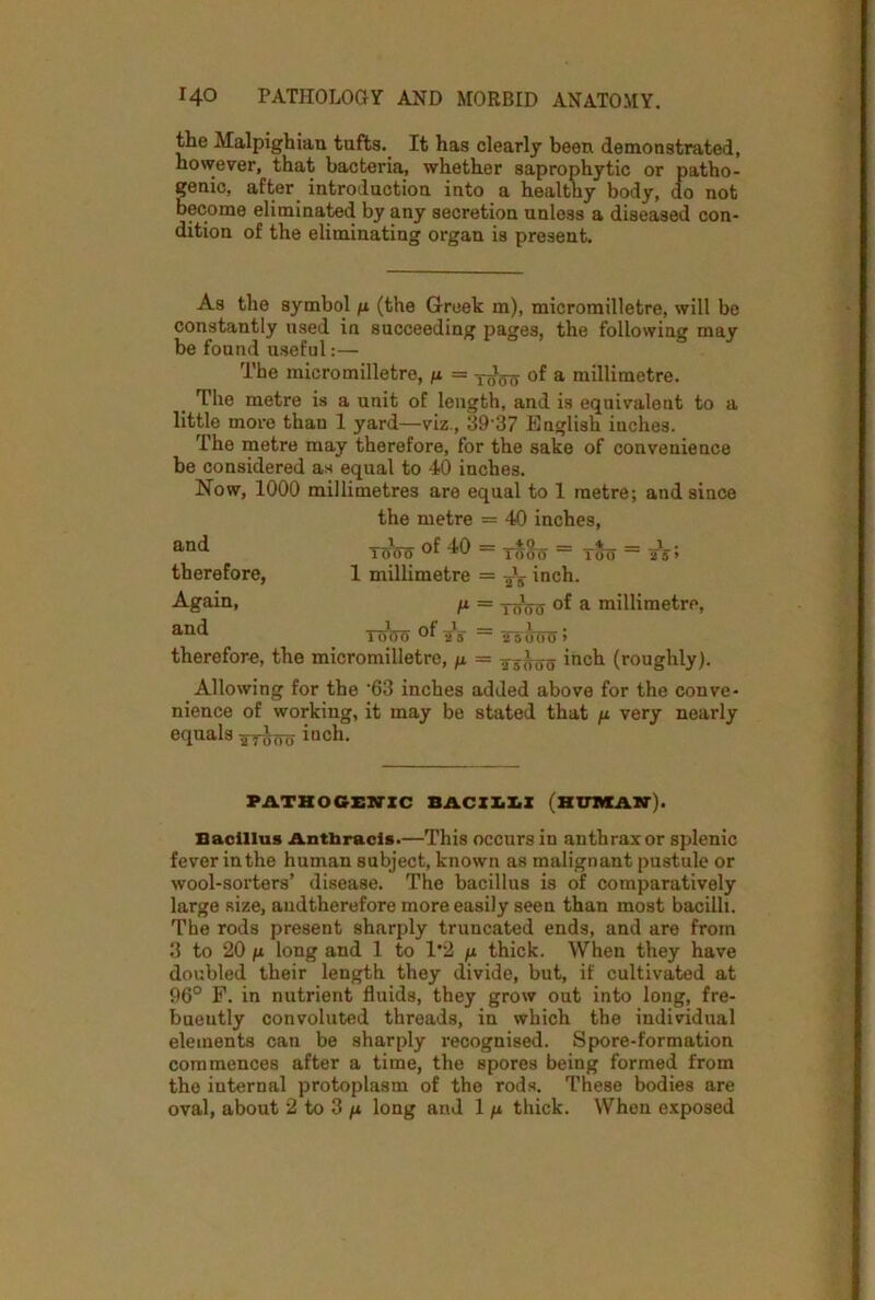 the Malpighian tufts. It has clearly been demonstrated, however, that bacteria, whether saprophytic or patho- genic, after introduction into a healthy body, do not Become eliminated by any secretion unless a diseased con- dition of the eliminating organ is present. As the symbol n (the Greek m), micromilletre, will be constantly used in succeeding pages, the following may be found useful:— The micromilletre, ft — xrtoo of a millimetre. The metre is a unit of length, and is equivalent to a little more than 1 yard—viz., 39'37 English iuclies. The metre may therefore, for the sake of convenience be considered as equal to 40 inches. Now, 1000 millimetres are equal to 1 metre; and since the metre = 40 inches, Tono °f '^0 ~ T5o = 1 millimetre = inch. ft = xchjo of a millimetre, Tooo ~ iTsffoo > therefore, the micromilletre, ft = -xshxio inch (roughly). Allowing for the '63 inches added above for the conve- nience of working, it may be stated that ft very nearly equals 7T^6 iuch. and therefore, Again, and PATHOGENIC BACILLI (HUMAN). Bacillus Antbracis.—This occurs in anthrax or splenic fever in the human subject, known as malignant pustule or wool-sorters’ disease. The bacillus is of comparatively large size, audtherefore more easily seen than most bacilli. The rods present sharply truncated ends, and are from 3 to 20 long and 1 to T2 ft thick. When they have doubled their length they divide, but, if cultivated at 96° P. in nutrient fluids, they grow out into long, fre- buently convoluted threads, in which the individual elements can be sharply recognised. Spore-formation commences after a time, the spores being formed from the internal protoplasm of the rods. These bodies are oval, about 2 to 3 ft long and 1 ft thick. When exposed