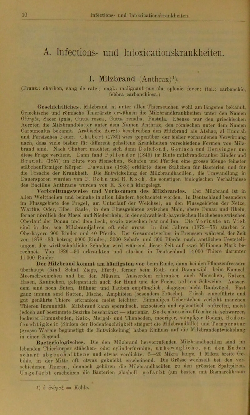 A. Iiifections- und Iiitoxicatioiiskraiiklieiteii. i • i 1. Milzbrand (Anthrax)^). j (Franz.: charbon, sang de rate; engl.: nialignant pustula, splonic fever; ital.: carbonchio, | febbra carbonchiosa.) j flesohichtliclies. Milzbrand ist unter allen Thierseueben wohl am längsten bekannt, i Griechische und römische Thierärzte erwähnen die Milzbrandkrankheiten unter den Namen j Ot&Tjaia, Sacer ignis, Gutta rosea, Gutta renalis, Pustula. Ebenso war den griechischen J Aerzten die Milzbrandblatter unter dem Namen Anthrax, den römischen unter dem Namen j Carbunculus bekannt. Arabische Aerzte beschreiben den Milzbrand als Atshac, al Humrah i und Persisches Feuer. Chabert (1780) Avies gegenüber der bisher vorhandenen Verwirrung I nach, dass viele bisher für different gehaltene Krankheiten A'erschiedene Formen von Milz- ' brand sind. Nach Chabert machten sich dann Delafond, Gerlach und Heusinger um 1 diese Frage verdient. Dann fand Pellender (1849) im Blute milzbrandkranker Rinder und j Brauell (1857) im Blute von Menschen, Schafen und Pferden eine grosse Menge feinster ] stäbchenförmiger Körper. Davaine (1863) erklärte diese Stäbchen für Bacterien und für ! die Ursache der Krankheit. Die Entwickelung der Milzbrandbacillen, die Umwandlung in 1 Dauersporen Avurden von F. Cohn und R. Koch, die sonstigen biologischen Verhältnisse i des Bacillus Anthracis Avurden von R. Koch klargelegt. ^ ^’erl)reitnng:sAveise und Vorkommen des Milzbrandes. Der Milzbrand ist in ! allen 'Welttheilen und beinahe in allen Ländern beobachtet Avorden. In Deutschland besonders i im Flussgebiete des Pregel, am Unterlauf der Weichsel, an den Flussgebieten der Netze, 1 Warthe, Oder, Elbe, Saale, in den Flussgebieten zAvischen Main, obere Donau und Rhein, j ferner nördlich der Mosel und Niederrhein, in der schAväbisch-bayerischen Hochebene zwischen Oberlauf der Donau und dem Lech, soAvie zwischen Isar und Inn. Die Verluste au Vieh j sind in den sog. Milzbrandjahren oft sehr gross, ln drei .lahren (1872—75) starben in | Oberbayern 900 Rinder und 40 Pferde. Der Gesammtverlust in Preussen während der Zeit A'on 1878—83 betrug 6000 Rinder. 3000 Schafe und 300 Pferde nach amtlichen Feststell- ungen, der Avirthschaftliche Schaden Avird Avährend dieser Zeit auf ZAvei Millionen Mark be- rechnet. Von 1886—90 erkrankten und starben in Deutschland 14000 Thiere darunter 11000 Rinder. Der Milzbrand kummt am liänflgstcn A'or beim Rinde, dann bei den Pflanzenfressern überhaupt (Rind, Schaf, Ziege, Pferd), ferner beim Roth- und Dammwild, beim Kameel, Meerschweinchen und bei den Mäusen. Ausserdem erkranken auch Menschen, Katzen, Hasen, Kaninchen, gelegentlich auch der Hund und der Fuchs, selten Sclnveine. Ausser- dem sind noch Pinten, Hühner und Tauben empfänglich, dagegen nicht Raubvögel. P'ast ganz immun sind Ratten, P’ische, Amphibien (besonders PTösche). Frisch eiugeführtc und gut genährte Thiere erkranken meist leichter. Plinmaliges Ueberstehen verleiht manchen l’hieren Immunität. Milzbrand kann sjmradisch, enzootisch und epizootisch auftreten, meist jedoch auf bestimmte Bezirke beschränkt — stationär. Bodenbeschaffenheit (schwarzer, lockerer Humusboden, Kalk-, Mergel- und Thonboden, moorigei’, sumpfiger Boden), Boden- feuchtigkeit (Sinken der Bodenfeuchtigkeit steigert die Milzbrandfälle) und Temperatur (grosse Wärme begünstigt die Pintwickelung) haben Plinfiuss auf die MilzbrandentAvickelung in einer Gegend. Hactcriologi.^clies. Die den Milzbrand hervorrufenden Milzbrandbacillen sind im lebenden Thierkörpor Stäbchen- oder cylinderförmige, unbeAvegliche, an den Enden scharf abgeschnittene und etwas verdickte. 5—20 Mikra lange, 1 Mikra breite Ge- bilde, in der Mitte oft etwas geknickt erscheinend. Die Grösse Avechselt bei den ver- schiedenen Thieren, dennoch gehören die Milzbrandbacillen zu den grössten Spaltpilzen. Ungefärbt erscheinen die Bacterien glashell, gefärbt (am besten mit Bismarckbraun 1) Ci ävOpa^ = Kohle.