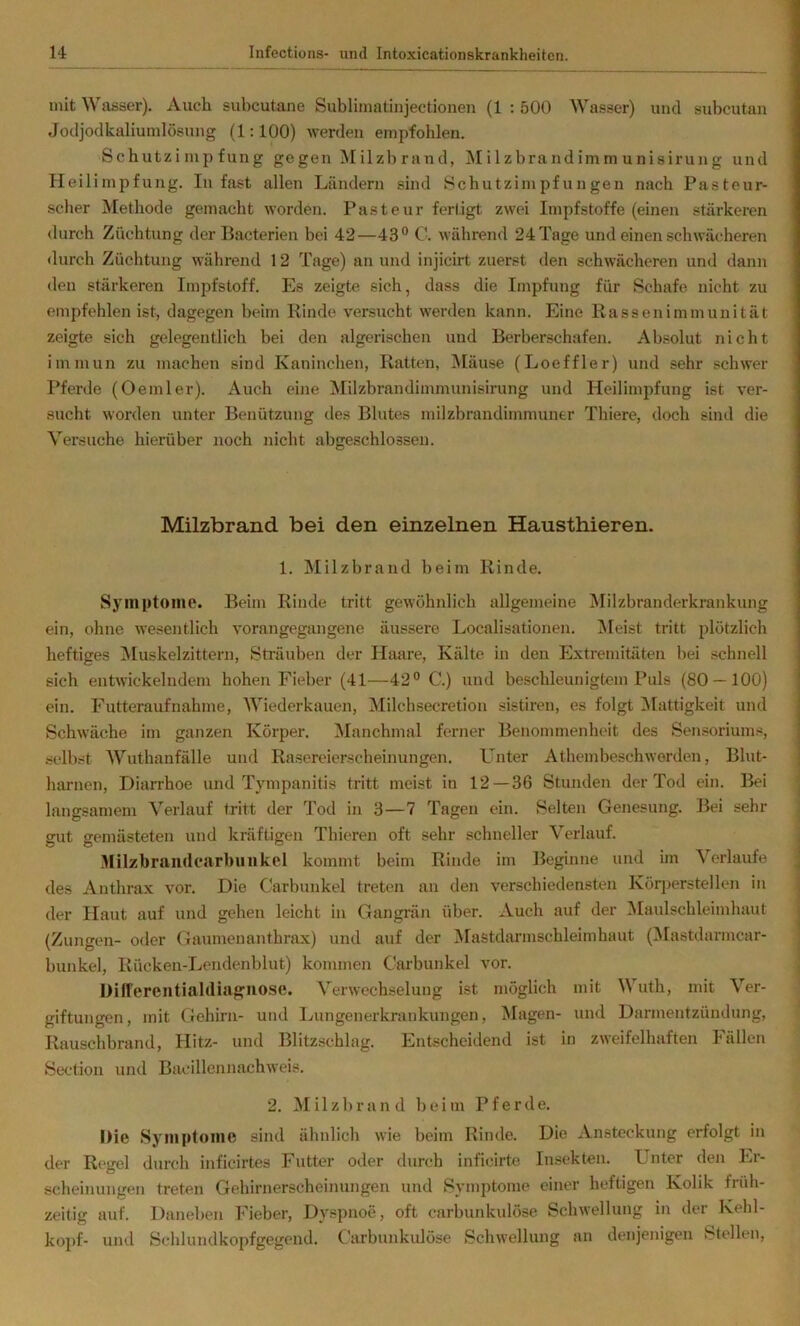 mit Wasser). Auch subcutane Sublimatinjectionen (1 : 500 Wasser) und subcutan Jodjodkaliumlösung (1:100) werden empfohlen. Schutzimpfung gegen Milzbrand, Milzbrandimmunisirung und Heilimpfung. In fast allen Ländern sind Schutzimpfungen nach Pasteur- seber Methode gemacht worden. Pasteur fertigt zwei Impfstoffe (einen stärkeren durch Züchtung derBacterien bei 42—43° C. während 24 Tage und einen schwächeren durch Züchtung während 12 Tage) an und injicirt zuerst den schwächeren und dann den stärkeren Impfstoff. Es zeigte sich, dass die Impfung für Schafe nicht zu empfehlen ist, dagegen beim Rinde versucht werden kann. Eine Ilasseniinmunität zeigte sich gelegentlich bei den algerischen und Berberschafen. Absolut nicht immun zu machen sind Kaninchen, Ratten, Mäuse (Loeffler) und sehr schwer Pferde (Oeinler). Auch eine Milzbrandimmunisirung und Heilimpfung ist ver- sucht worden unter Benützung des Blutes milzbrandimmuner Thiere, doch sind die Versuche hierüber noch nicht abgeschlossen. Milzbrand bei den einzelnen Hausthieren. 1. Milzbrand beim Rinde. Symptome. Beim Rinde tritt gewöhnlich allgemeine Milzbranderkrankung ein, ohne wesentlich vorangegangene äussere Localisationen. !Meist tritt plötzlich heftiges Muskelzittern, Sträuben der Haare, Kälte in den Extremitäten bei schnell sich entwickelndem hohen Fieber (41—42° C.) und beschleunigtem Puls (80 — 100) ein. Futteraufnahme, Wiederkauen, Milchsecretion sistiren, es folgt Mattigkeit und Schwäche im ganzen Körper. Manchmal ferner Benommenheit des Sensoriuins, selbst Wuthanfälle und Rasereierscheinungen. Unter Athembeschwerden, Blut- harnen, Diarrhoe und Tympanitis tritt meist in 12 — 36 Stunden der Tod ein. Bei langsamem Verlauf tritt der Tod in 3—7 Tagen ein. Selten Genesung. Bei sehr gut gemästeten und kräftigen Thieren oft sehr schneller Verlauf. Milzbraii(learbiinkcl kommt beim Rinde im Beginne und im Verlaufe des Anthrax vor. Die Carbunkel treten an den verschiedensten Köq)erstellen in der Haut auf und gehen leicht in Gangrän über. Auch auf der Maulschleimhaut (Zungen- oder Gaumenanthrax) und auf der ^Slastdarmschleimhaut (^Mastdarmcar- bunkel, Rücken-Lendenblut) kommen Cai'bunkel vor. Diirerentialdiagnose. Verwechselung ist möglich mit Wuth, mit Ver- giftungen, mit Gehirn- und Lungenerkrankungen, Magen- und Darmentzündung, Rauschbrand, Hitz- und Blitzschlag. Entscheidend ist in zweifelhaften Fällen Section und Bacillcnnachweis. 2. Milzbrand beim Pferde. Die Syniptoine sind ähnlich wie beim Rinde. Die Ansteckung erfolgt in der Regel durch inficirtes Futter oder durch inficirte Insekten. Unter den Er- scheinungen treten Gehirnerscheinungen und Symptome einer heftigen Kolik früh- zeitig auf. Daneben Fieber, Dyspnoe, oft carbunkulöse Schwellung in der Kebl- ko])f- und Schlundkopfgegend. Carbunkulöse Schwellung an denjenigen Stellen,