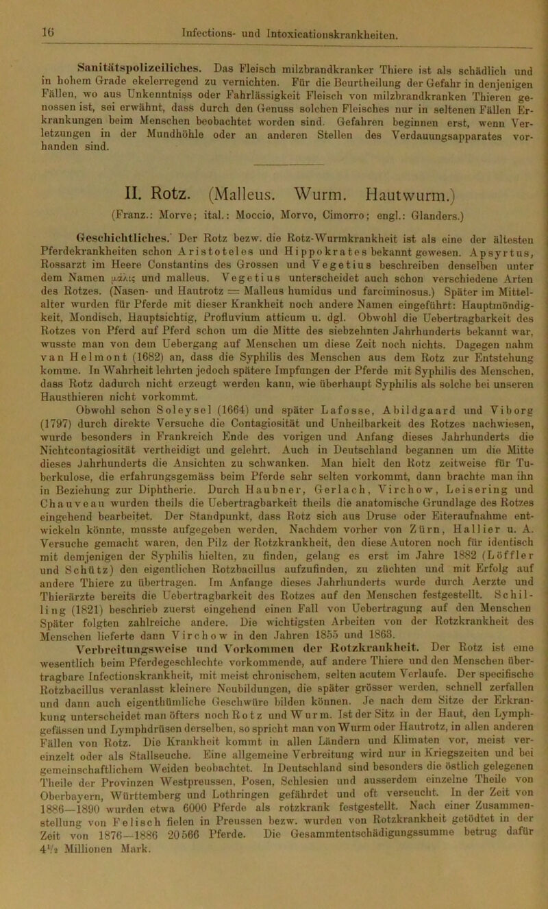 Sniiitiitspolizeiliches. Das Fleisch milzbrandkranker Thiere ist als schädlich und in hohem Grade ekelerregend zu vernichten. Für die Beurtheilung der Gefahr in denjenigen Fällen, wo aus Unkenntni^s oder Fahrlässigkeit Fleisch von milzbrandkranken Thieren ge- nossen ist, sei erwähnt, dass durch den Genuss solchen Fleisches nur in seltenen Fällen Er- krankungen beim Menschen beobachtet worden sind. Gefahren beginnen erst, wenn Ver- letzungen in der Mundhöhle oder an anderen Stellen des Verdauungsapparates vor- handen sind. II. Rotz. (Malleus. Wurm. Hautwurm.) (Franz.: Morve; ital.: Moccio, Morvo, Cimorro; engl.: Glanders.) Geschichtliches.' Der Rotz bezw. die Rotz-Wurmkrankheit ist als eine der ältesten Pferdekrankheiten schon Aristoteles und Hippokrates bekannt gewesen. Apsyrtus, I Rossarzt im Heere Constantins des Grossen und Vegetius beschreiben denselben unter ! dem Namen p.dXi; und malleus. Vegetius unterscheidet auch schon verschiedene Arten j des Rotzes. (Nasen- und Hautrotz = Malleus humidus und farciminosus.) Später im Mittel- j alter wurden für Pferde mit dieser Krankheit noch andere Namen eingeführt: Hauptmöndig- i keit, Mondisch, Hauptsichtig, Profluvium atticum u. dgl. Obwohl die Uebertragbarkeit des ^ Rotzes von Pferd auf Pferd schon um die Mitte des siebzehnten Jahrhundeids bekannt war, ! wusste man von dem üebergang auf Menschen um diese Zeit noch nichts. Dagegen nahm I van Helmont (1682) an, dass die Syphilis des Menschen aus dem Rotz zur Entstehung j komme. In Wahrheit lehrten jedoch spätere Impfungen der Pferde mit Syphilis des Menschen, ! dass Rotz dadurch nicht erzeugt werden kann, wie überhaupt Syphilis als solche bei unseren I Hausthieren nicht vorkommt. | Obwohl schon Soleysel (1664) und später Lafosse, Abildgaard und Viborg ) (1797) durch direkte Versuche die Contagiosität und Ünheilbarkeit des Rotzes nachwiesen, ; wurde besonders in Frankreich Ende des vorigen und Anfang dieses Jahrhunderts die I Nichtcontagiosität vertheidigt und gelehrt. Auch in Deutschland begannen um die Mitte ! dieses Jahrhunderts die Ansichten zu schwanken. Man hielt den Rotz zeitweise für Tu- berkulose, die erfahrungsgemäss beim Pferde sehr selten vorkommt, dann brachte man ihn in Beziehung zur Diphtherie. Durch Haubner, Gerlach, Virchow, Leisering und Chauveau wurden theils die Uebertragbarkeit theils die anatomische Grundlage des Rotzes eingehend bearbeitet. Der Standpunkt, dass Rotz sich aus Druse oder Eiteraufnahme ent- wickeln könnte, musste aufgegeben werden. Nachdem vorher von Zürn, Hall ier u. A. Versuche gemacht waren, den Pilz der Rotzkrankheit, den diese Autoren noch für identisch mit demjenigen der Syphilis hielten, zu finden, gelang es erst im Jahre 1882 (Löffler und Schütz) den eigentlichen Rotzbacillus aufzufinden, zu züchten und mit Erfolg auf andere Thiere zu übertragen. Im Anfänge dieses Jahrhunderts wurde durch Aerzto und Thierärzte bereits die Uebertragbarkeit des Rotzes auf den Menschen festgestellt. Schil- ' ling (1821) beschrieb zuerst eingehend einen Fall von Uebertragung auf den Menschen Später folgten zahlreiche andere. Die wichtigsten Arbeiten von der Rotzkrankheit des Menschen lieferte dann Virchow in den Jahren 1855 und 1863. Verbreitungsweise mul Vorkommen der Rotzkruiikheit. Der Rotz ist eine wesentlich beim Pferd egeschlechte vorkommende, auf andere Thiere und den Menschen über- tragbare Infectionskrankheit, mit meist chronischem, selten acutem Verlaufe. Der spocifische Rotzbacillus veranlasst kleinere Neubildungen, die später grösser werden, schnell zerfallen und dann auch eigenthüniliche Geschwüre bilden können. Je nach dem Sitze der Erkran- kung unterscheidet man öfters noch Rotz und Wurm. Ist der Sitz in der Haut, den Lymph- gefässen und Lymphdrüsen derselben, so spricht man von Wurm oder Hautrotz, in allen anderen Fällen von Rotz. Die Krankheit kommt in allen Ländern und Klimaten vor, meist ver- einzelt oder als Stallseuche. Eine allgemeine Verbreitung wird nur in Kriegszeiten und bei gemeinschaftlichem Weiden beobachtet. In Deutschland sind besonders die östlich gelegenen Theile der Provinzen Westpreussen, Posen, Schlesien und ausserdem einzelne Theile von Oberbayern, Württemberg und Lothringen gefährdet und oft verseucht. In der Zeit von 1886—1890 wurden etwa 6000 Pferde als rotzkrank festgestellt. Nach einer Zusammen- stellung von Feilsch fielen in Preussen bezw. wurden von Rotzkrankheit getödtet in der Zeit von 1876—1886 20566 Pferde. Die Gesammtentschädigungssumme betrug dafür 4Va Millionen Mark.