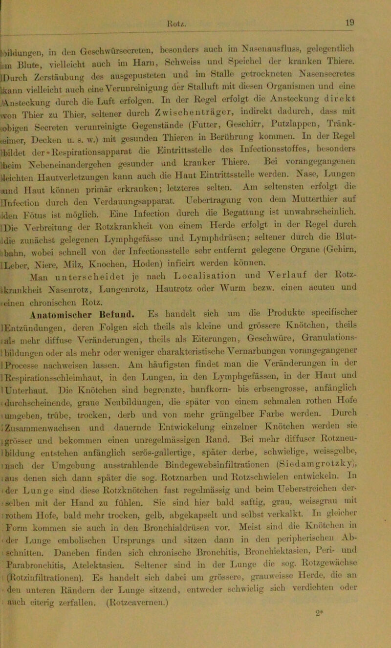 hiKlungtMi, in den Geschwüi-secrcten, besonders auch iin Xasenausfluss, gelegentlich fein Blute, vielleicht auch im Harn, Schweis« und Speichel der kranken Thiere. IDurch Zerstäubung des ausgepusteten und im Stalle g(;trocknet(>n Kasensecretes Ikann vielleicht auch eine Verunreinigung der Stalluft mit diesen Organisimai und eine .'Ansteckung durch die Luft erfolgen. In der Regel erfolgt die Ansteckung direkt vvon Thier zu Thier, seltener durch Zwischenträger, indirekt dadurch, dass mit ^obigem Secreten veimu'einigte Gegenstände (I'utter, Geschiri, 1 utzla])p('n, J länk- teimer. Decken u. s. w.) mit gesunden Thieren in Berührung kommen, ln der Regel duldet der-Re.spirationsapparat die Eintrittsstelle des Infectionsstoffes, besonders djeim Nebeneinandergehen gesunder und kranker Thiere. Bei vorangegangenen '■leichten Ilautverletzungen kann auch die Haut Eintrittsstelle werden. Ease, Ijungen nind Haut können primär erkranken; letzteres selten. Am seltensten erfolgt die llnfection durch den Verdauungsapparat. Uebertragung von dem l\Iutterthier auf >iden Fötus ist möglich. Eine Infection durch die Begattung ist unwahrscheinlich. IDie Verbreitung der Rotzkrankheit von einem Herde erfolgt in der Regel durch jdie zunächst gelegenen Lymphgefässe und Lymphdrüseu; seltener durch die Blut- i bahn, wobei schnell von der Infectionsstelle sehr entfernt gelegene Organe (Gehirn, ILeber, Niere, :Milz, Knochen, Hoden) inficin werden können. Man unterscheidet je nach Localisatioii und Verlauf der Rotz- >krankheit Nasenrotz, Liuigenrotz, Hautrotz oder Wurm bezw. einen acuten und t einen chronischen Rotz. Anatomischer Befund. Es handelt sich um die Produkte specifLscher lEntzündungen, deren Folgen sich theils als kleine und grössere Knötchen, theils ials mehr diffuse Veränderungen, theils als Eiterungen, Geschwüre, Granulations- 1 bildungen oder als mehr oder weniger charakteristische Vernarbungen vorangegangeuer iProcesse nachweisen lassen. Am häufigsten findet man die \ eränderungen in dei 1 Respirationsschleimhaut, in den Lungen, in den Lymphgefässen, in der Haut und IUnterhaut. Die Knötchen sind begrenzte, hanfkorn- bis erbsengrosse, anfänglich durchscheinende, graue Neubildungen, die später von einem schmalen rothen Hofe ■umgeben, trübe, trocken, derb und von mehr grüngelber Farbe werden. Durch j Zusammenwachsen und dauernde Entwickelung einzelner Knötchen werden sie j grösser und bekommen einen unregelmässigen Rand. Bei mehr diffuser Rotzneu- ibildung entstehen anfänglich serös-gallertige, später derbe, schwielige, weissgelbe, mach der Umgebung ausstrahlende Bindegewebsinfiltrationen (Siedamgrotzky), iaus denen sich dann später die sog. Rotznarben und Rotzschwielen entwickeln. In ■ der Lunge sind diese Rotzknötchen fast regelmässig und beim Ueber.streichen der- : selben mit der Hand zu fühlen. Sie sind hier bald saftig, grau, weissgrau mit irothemllofe, bald mehr trocken, gelb, abgekapselt und selbst verkalkt. In gleicher Form kommen sie auch in den Bronchialdrüsen vor. Meist sind die Knöüdien m ■ der Lunge embolischen Ursprungs uml sitzen dann in den peripherischtm Ab- schnitten. Daneben finden sich chronische Bronchitis, Bronchiektasien, Peri- mul Parabronchitis, Atelektasien. Seltener sind in der Imnge die sog. Kotzgewächse (Rotzinfiltrationen). Es handelt sich dabei um grössere, grauweisse Herde, die an ■ den unteren Rändern der Lunge sitzend, entweder schwielig sich verdichten oder auch eiterig zerfallen, (Rotzeavernen.) 2*