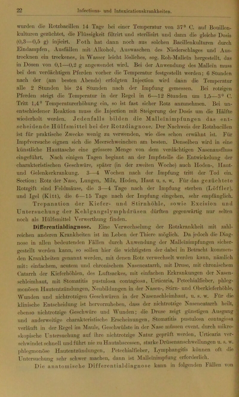 wurden die Rotzbacillen 14 Tage bei einer Temperatur von 37” C. auf Bouillon- | kulturen gezüchtet, die Flüssigkeit filtrirt und sterilisirt und dann die gleiche Dosis | (0,3—0,5 g) injicirt. Foth hat dann noch aus solchen Bacillenkulturen durch Eindampfen, Ausfällen mit Alkohol, Auswaschen des Niederschlages und Aus- trocknen ein trockenes, in Wasser leicht lösliches, sog. Roh-Mallein hergestellt, das in Dosen von 0,1—0,2 g angewendet wird. Bei der Anwendung des Mallem muss bei den verdächtigen Pferden vorher die Temperatur festgestellt werden; 6 Stunden nach der (am besten Abends) erfolgten Injection wird dann die Temperatur alle 2 Stunden bis 24 Stunden nach der Impfung gemessen. Bei rotzigen Pferden steigt die Temperatur in der Regel in 6—12 Stunden um 1,5—3” C. Tritt 1,4” Temperaturerhöhung ein, so ist fast sicher Rotz anzunehmeu. Bei un- entschiedener Reaktion muss die Injection mit Steigerung der Dosis um die Hälfte wiederholt werden. Jedenfalls bilden die Malleinimpfungen das ent- scheidende Hülfsmittel bei der Rotzdiagnose. Der Nachweis der Rotzbacillen ist für praktische Zwecke wenig zu verwenden, wie dies schon envähnt ist. Für Impfversuche eignen sich die Meerschweinchen am besten. Denselben wird in eine künstliche Hauttasche eine grössere Menge von dem verdächtigen Nasenausfluss eingeführt. Nach einigen Tagen beginnt an der Impfstelle die Entwickelung der charakteristischen Geschwüre, später (in der zweiten AVoche) auch Ploden-, liaut- und Gelenkerkrankung. 3—4 AA^'ochen nach der Impfung tritt der Tod ein. Section: Rotz der Nase, Lungen, Milz, Hoden, Haut u. s. w. Für das gezüchtete Rotzgift sind Feldmäuse, die 3—4 Tage nach der Impfung sterben (Löffler), und Igel (Kitt), die 6—15 Tage nach der Impfung eingehen, sehr empfänglich. Trepanation der Kiefer- und Stirnhöhle, sowie Excision und Untersuchung der Kehlgangslymphdrüsen dürften gegenwärtig nur selten noch als Plülfsmittel Yerwerthung finden. Differeiitialdiagiiose. Eine Verwechselung der Rotzkrankheit mit zahl- reichen anderen Krankheiten ist im Leben der Thiere möglich. Da jedoch die Diag- nose in allen bedeutenden Fällen durch Anwendung der Malleinimpfungen sicher- gestellt werden kann, so sollen hier die wichtigsten der dabei in Betracht kommen- den Krankheiten genannt werden, mit denen Rotz verwechselt werden kann, nämlich mit: einfachem, acutem und chronischem Nasencatarrh, mit Druse, mit chronischem Catarrh der Kieferhöhlen, des Luftsackes, mit einfachen Erkrankungen der Nasen- Schleimhaut, mit Stomatitis pustulosa contagiosa, Urticaria, Petechialfieber, phleg- monösen Hautentzündungen, Neubildungen in der Nasen-, Stirn- und Oberkieferhöble, AVunden und nichtrotzigen Geschwüren in der Nasenschleimhaut, u. s. w. Für die klinische Entscheidung ist hervorzuheben, dass der nichtrotzige Nasencatarrh heilt, ebenso nichtrotzige Geschwüre und AVunden; die Druse zeigt günstigen Ausgang ' und andenveitige charakteristische Erscheinungen, Stomatitis pustulosa contagiosa verläuft in der Regel im Maide, GcschAvülste in der Nase müssen event. durch mikro- ^ skopische Untersuchung auf ihre nichtrotzige Natur geprüft werden, Urticaria ver- schwindet schnell und führt nie zu Hautabscessen, starke Drüsenanschwellungen u. s. w. ])hlegmonöse Hautentzündungen, Petechialfieber, I^ymphangitis können oft die Untersuchung sehr schwor machen, dann ist Alalleinimpfung erforderlich. Die anatomische Differentialdiagnose kann in folgenden Fällen von