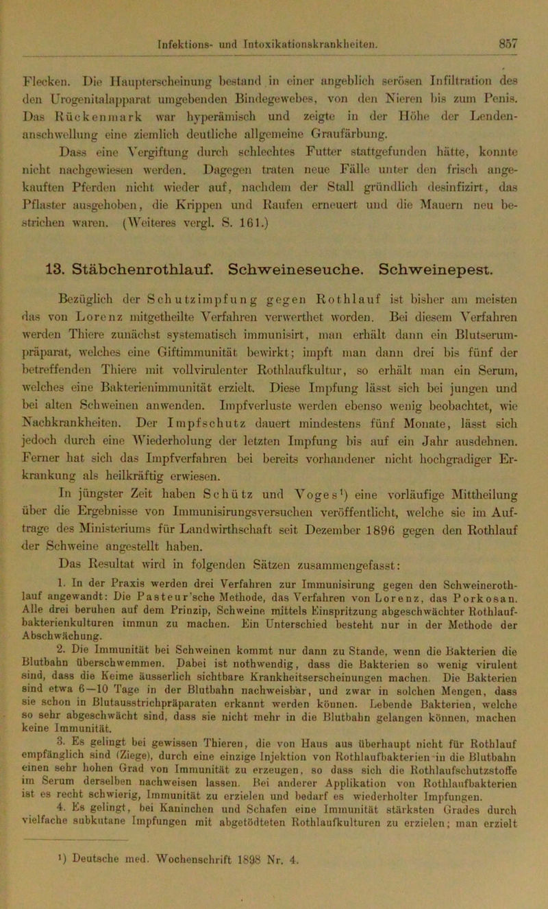 Flecken. Die Haupterscheinung bestand in einer angeblich serösen Infiltration des den Urogenitalapparat umgebenden Bindegewebe.s, von den Nieren bis zum Penis. Ua.s Rückenmark war byperämiscb und zeigte in der Höbe der Lenden- anschwellung eine ziemlich deutliche allgemeine Graufärbung. Dass eine Vergiftung durch schlechtes Futter sUxttgefunden hätte, konnte nicht nachgewiesen werden. Dagegcai traten neue Fälle unter den frisch ange- kauften Pferden nicht wieder auf, nachdem der Stall gründlich desinfizirt, das Pflaster ausgehoben, die Krippen und Kaufen erneuert und die Mauern neu be- strichen waren. (AWiteres vergl. S. 161.) 13. Stäbchenrothlauf. Schweineseuche. Schweinepest. Bezüglich der Schutzimpfung gegen Rothlauf ist bisher am meisten das von Lorenz mitgetheilte Yerfaliren verwerthet worden. Bei diesem Verfahren werden Thiere zunäch.st systematisch immunlsirt, man erhält dann ein Blutserum- priiparat, welches eine Giftimmunität bewirkt; impft man dann drei bis fünf der betreffenden Thiere mit vollvirulenter Rothlaufkultur, so erhält man ein Serum, welches eine Bakterienimmunität erzielt. Diese Impfung lässt sich bei jungen und bei alten Schweinen anwenden. Imjxfverluste werden ebenso wenig beobachtet, wie Nachkrankheiten. Der Impfschutz dauert mindestens fünf Monate, lässt sich jedoch durch eine AViederholung der letzten Impfung bis auf ein Jahr ausdehnen. Ferner hat sich das Impfverfahren bei bereits vorhandener nicht hochgradiger Er- krankung als heilkräftig erwiesen. In jüngster Zeit haben Schütz und Voges’) eine vorläufige Mittheilung über die Ergebnisse von Immunisirungsversuchen veröffentlicht, welche sie im Auf- träge des Ministeriums für Landwirthschaft seit Dezember 1896 gegen den Rothlauf der Schweine angestellt haben. Das Resultat wird in folgenden Sätzen zusammengefasst; 1. In der Praxis werden drei Verfahren zur Iminunisirung gegen den Schweinorotb- lauf angewandt; Die Pasteur'sehe Methode, das Verfahren von Lorenz, das Porkosan. Alle drei beruhen auf dem Prinzip, Schweine mittels Einspritzung abgeschwächter Rothlauf- bakterienkulturen immun zu machen. Ein Unterschied besteht nur in der Methode der Abschwächung. 2. Die Immunität bei Schweinen kommt nur dann zu Stande, wenn die Bakterien die Blutbabn überschwemmen. Dabei ist nothwendig, dass die Bakterien so wenig virulent sind, dass die Keime äusserlich sichtbare Krankheitserscheinungen machen. Die Bakterien sind etwa 6—10 Tage in der Blutbahn nachweisbar, und zwar in solchen Mengen, dass sie schon in Blutausstrichpräparaten erkannt werden können. Lebende Bakterien, welche so sehr abgeschwächt sind, dass sie nicht mehr in die Blutbahn gelangen können, machen keine Immunität. 3. Es gelingt bei gewissen Thieren, die von Haus aus überhaupt nicht für Rothlauf empfänglich sind (Ziege), durch eine einzige Injektion von Rothlaufbakterien in die Blutbahn einen sehr hohen Grad von Immunität zu erzeugen, so dass sich die Rothlaufschutzstoffe ira Serum derselben nachweisen lassen. Bei anderer Applikation von Rothlaufbakterien ist es recht schwierig, Immunität zu erzielen und bedarf es wiederholter Impfungen. 4. Es gelingt, bei Kaninchen und Schafen eine Immunität stärksten Grades durch vielfache subkutane Impfungen mit abgetödteten Rothlaufkulturen zu erzielen; man erzielt I) Deutsche med. Wochenschrift 1898 Nr, 4.