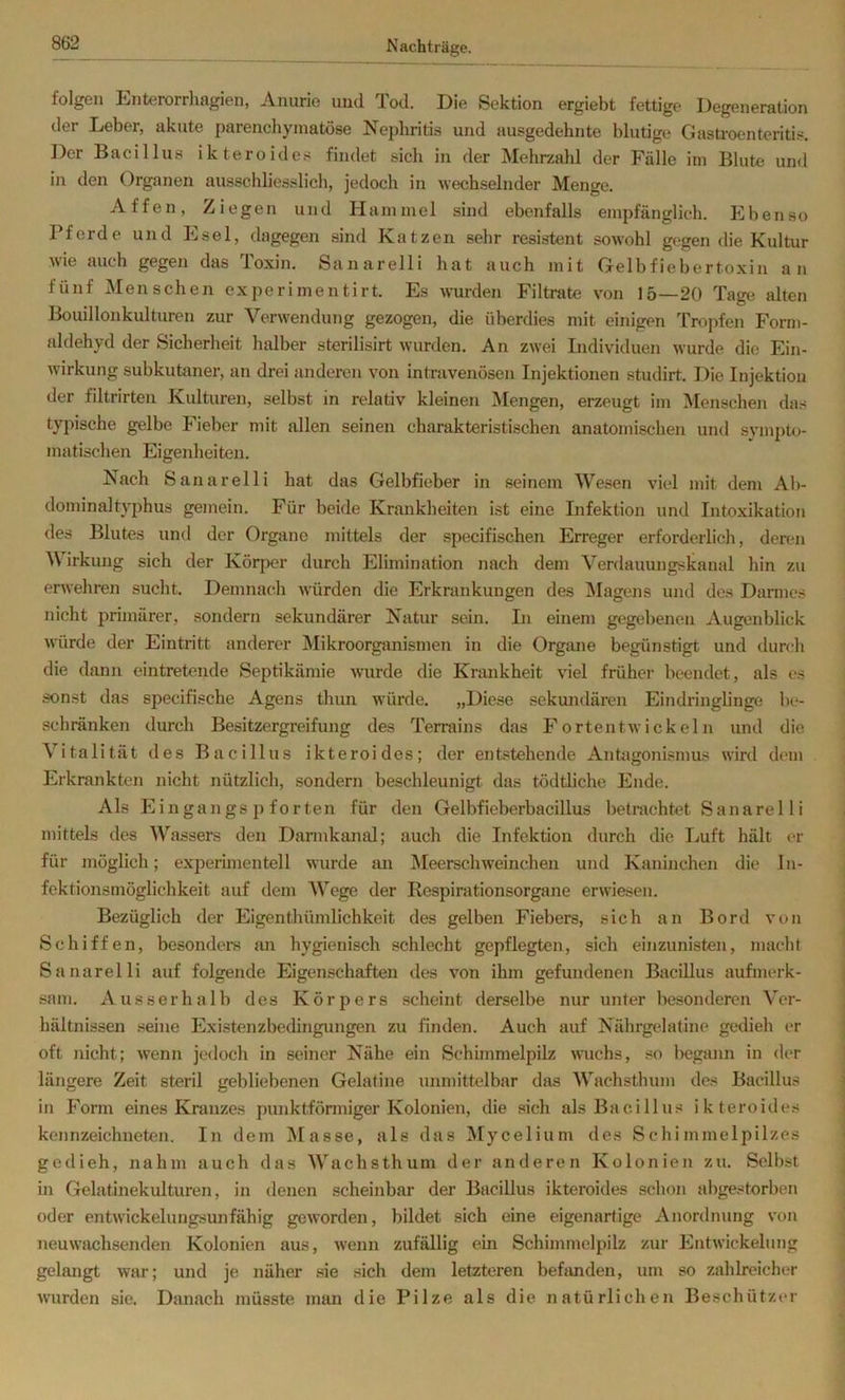 folgen Enterorrhagien, Anurie und Tod. Die Sektion ergiebt fettige Degeneration der Leber, akute parenchymatöse Nephritis und ausgedehnte blutige Gasti’oenteritis. Der Bacillus ikteroides findet sich in der Mehrzahl der Fälle im Blute und in den Organen ausschliesslich, jedoch in wechselnder Menge. Affen, Ziegen und Hammel sind ebenfalls empfänglich. Ebenso Pferde und Esel, dagegen sind Katzen sehr resistent sowohl gegen die Kultur wie auch gegen das Toxin. Sanarelli hat auch mit Gelbfiebertoxin an fünf Menschen experimentirt. Es wurden Filtrate von 15—20 Tage alten Bouillonkulturen zur Verwendung gezogen, die überdies mit einigen Tropfen Form- aldehyd der Sicherheit halber sterilisirt wurden. An zwei Individuen wurde die Ein- wirkung subkutaner, an drei anderen von intravenösen Injektionen studirt. Die Injektion der filtrirten Kulturen, selbst in relativ kleinen Mengen, erzeugt im ^Menschen das typische gelbe Fieber mit allen seinen charakteristischen anatomischen und sympto- matischen Eigenheiten. Nach Sanarelli hat das Gelbfieber in seinem We.sen viel mit dem Ab- dominaltyphus gemein. Für beide Krankheiten ist eine Infektion und Intoxikation des Blutes und der Organe mittels der specifischen Erreger erforderlich, deren M irkung sich der Körper durch Elimination nach dem Verdauungskanal hin zu erwehren sucht. Demnach würden die Erkrankungen des Magens und des Darmes nicht primärer, sondern sekundärer Natur sein. In einem gegebenen Augenblick würde der Eintritt anderer Älikroorgiuiismen in die Organe begünstigt und durch die dann eintretende Septikämie wurde die Krankheit viel früher beendet, als es son.st das specifische Agens thun würde. „Diese sekundären Eindringlinge b(*- schränken durch Besitzergreifung des Ten*ains d.as Fortentwickeln und die Vitalität des Bacillus ikteroides; der entstehende Antagonismus wird dem Erkrankten nicht nützlich, sondern beschleunigt das tödtliche Ende. Als Eingangspforten für den Gelbfieberbacillus betrachtet S a n a re 11 i mittels des Wassers den Dannkanal; auch die Infektion durch die Luft hält er für möglich; experhnentell wurde mi Meerschweinchen und Kaninchen die In- fektionsmöglichkeit auf dem AVege der Respirationsorgane erwiesen. Bezüglich der Eigenthümlichkeit des gelben Fiebers, sich an Bord von Schiffen, besonders an hygienisch schlecht gepflegten, sich einzunisten, macht Sanarelli auf folgende Eigenschaften des von ihm gefundenen Bacillus aufmerk- sam. Ausserhalb des Körpers scheint derselbe nur unter besonderen Ver- hältnissen seine Exi.stenzbedingungen zu finden. Auch auf Nährgelatine gedieh er oft nicht; wenn jedoch in seiner Nähe ein Schimmelpilz michs, so begann in der längere Zeit steril gebliebenen Gelatine unmittelbar das AVachsthum des Bacillus in Form eines Kranzes punktförmiger Kolonien, die sich als Bacillus ikteroides kennzeichneten. In dem Masse, als das Alycelium des Schimmelpilzes gedieh, nahm auch das AA^^achsthum der anderen Kolonien zu. Selbst in Gelatinekulturen, in denen scheinbar der Bacillus ikteroides schon abgestorben oder entwickelungsunfähig geworden, bildet sich eine eigenartige Anordnung von neuwachsenden Kolonien aus, wenn zufällig ein Schimmelpilz zur Entwickelung gelangt war; und je näher sie sich dem letzteren behmden, um so zahlreicher wurden sie. Danach müsste man die Pilze als die natürlichen Beschützer
