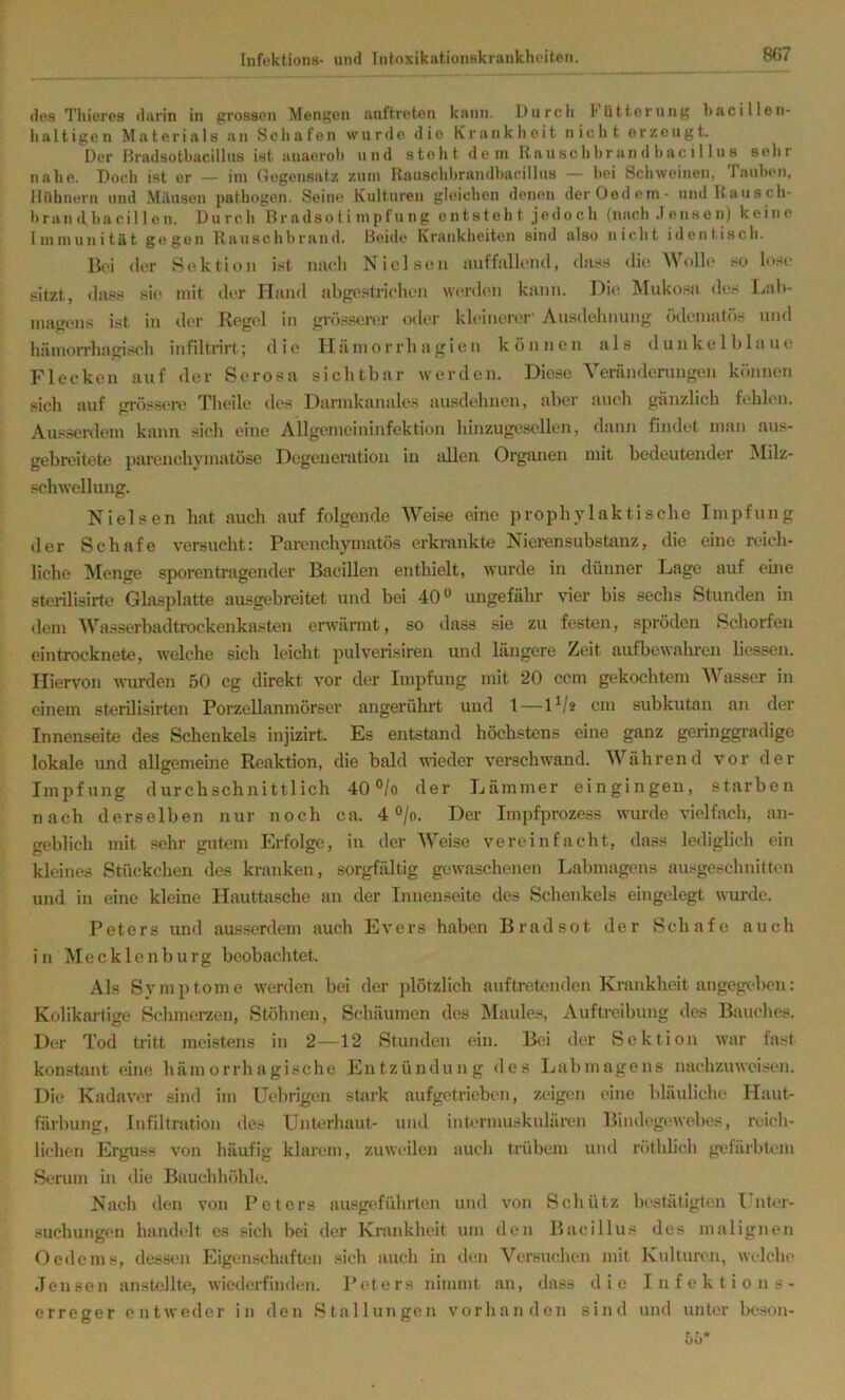 des Thicres darin in grossen Mengen auftreten kann. Durch hüttorung hacillen- lialtigcn Materials an Sciiafen wurde die Krankheit niclit erzeugt. Der Bradsotbacillus ist anaeroh und steht dem Uausc hbr an d bac 11 lu s sehr nalie. Doch ist er — iin (legeiisatz zum Rauschbrandbacillus — bei Schweinen, I aiilaui, Hühnern und Mäusen pathogen. Seine Kulturen gleichen denen derOedcm- undRatisch- brandbacillen. Durch Hradsoti mpfung entsteh t jedo c h (nach .1 enso n) keine Immunität gegen Rauschbrand. Heide Krankheiten sind also nicht identi.sch. Bei der Sektion ist nach Nicls(!ii auffalleiul, dass die. Wolle so lose sitzt, da.ss si(‘ mit der Hand abge.«triehen werden kann. ]^i(‘ Muko.sa des Lah- nm<^*ns ist in der Regel in grösserer oder kleinerer' Ausdehnung ödeinaliis und häiuorrluuriseh infiltrirt; die Häinorrhagien können als dunkelhlaue Fleeken auf der Serosa sichtbar werden. Diese Veriinderuugen können sich auf grös.sero Theile des I)arinkanale.s ausdehnen, aber auch gänzlich fehlen. Ausserdem kann sieh eiiie Allgemeininfektion hinzugesellen, dann findet man aus- gebreitete parenchymatöse Degeneration in allen Organen mit bedeutender IMilz- schwellung. Nielsen hat auch auf folgende Weise eine prophylaktische Impfung der Schafe versucht: Parenchymatös erkrankte Nierensubstanz, die eine reich- liche !Menge sporentragender Bacillen enthielt, wurde in dünner Dage auf eine sterilisirte Glasplatte ausgebreitet und bei 40“ ungefähr vier bis sechs Stunden in dem Wasserhadtrockenkasten erwärmt, so dass sie zu festen, spröden Schorfen eintrocknete, welche sich leicht pulverisiren und längere Zeit aufbewalu-en liesseji. Hiervon wurden 50 cg direkt vor der Impfung mit 20 ccm gekochtem A^h^sser in einem sterilisirten Porzellanmörser angernhrt und 1—D/s cm subkutan an der Innenseite des Schenkels injizirt. Es entstand höchstens eine ganz geringgradige lokale und allgemeine Reaktion, die bald meder verschwand. Während vor der Impfung durchschnittlich 40 “/o der Lämmer eingingen, starben nach derselben nur noch ca. 4 “/o. Der Impfprozess wurde vielfach, an- geblich mit sehr gutem Erfolge, in der AVeise vereinfacht, dass lediglich ein kleines Stückchen des kranken, sorgfältig gewaschenen Labmagens au,<geschnitten und in eine kleine Hauttasche an der Innenseite des Schenkels eingelegt wurde. Peters und ausserdem auch Evers haben Bradsot der Schafe auch in Mecklenburg beobachtet. Als Symptome werden bei der plötzlich auftreteuden Krankheit angegeben: Kolikarlige Schmerzen, Stöhnen, Schäumen des jMaule.s Auftreibung des Bmu'hes. Der Tod tritt meistens in 2—12 Stunden ein. Bei der Sektion war fast konstant eine hämorrhagische Entzündung des Labmagens nachzuwoisen. Die Kadaver sind im Uebrigen stark aufgetricben, zeigen (‘ine bläidiche Haut- färbung, Infiltration des UnU'rhaut- und intermuskulären Bindegewelx's, reich- lichen Erguss von häufig klarem, zuweilen auch trübem und röthlich gefärbtem Serum in die Bauebhöhle. Nach den von Peters ausgeführten und von Schütz be.stätigüm l ntor- suchungen handelt es sich bei der Krankheit um den Bacillus des malignen Oedems, dessc'ii Eigo}ischaften sich auch in den VtTsuchen mit Ivulturen, welche Jensen anstellte, wiederfinden. J’eters nimmt an, da.ss die Infektions- erreger entweder in den Stallungen vorhanden sind und unter bc'son-