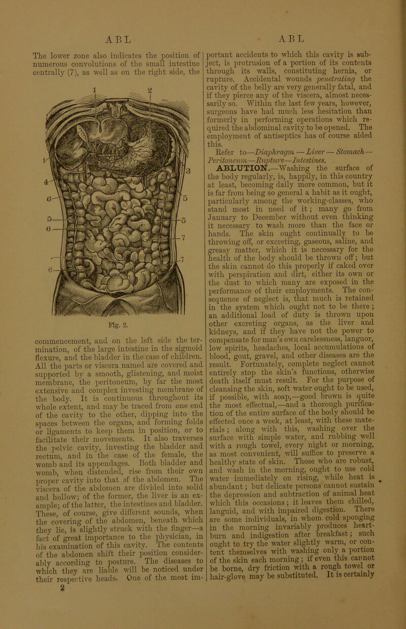 ABL ARL The lower zone also indicates the position of numerous convolutions of the small intestine centrally (7), as well as on the right side, the Fig. 2. commencement, and on the left side the ter- mination, of the large intestine in the sigmoid flexure, and the bladder in the case of children. All the parts or viscera named are covered and supported by a smooth, glistening, and moist membrane, the peritoneum, by far the most extensive and complex investing membrane of the body. It is continuous throughout its whole extent, and may be traced from one end of the cavity to the other, dipping into the spaces between the organs, and forming folds or ligaments to keep them in position, or to facilitate their movements. It also traverses the pelvic cavity, investing the bladder and rectum, and in the case of the female, the womb and its appendages. Both bladder and womb, when distended, rise from their own proper cavity into that of the abdomen. The viscera of the abdomen are divided into solid and hollow; of the former, the liver is an ex- ample; of the latter, the intestines and bladder. These, of course, give different sounds, when the covering of the abdomen, beneath which they lie, is slightly struck with the finger—a fact of great importance to the physician, in his examination of this cavity. The contents of the abdomen shift their position consider- ably according to posture. The diseases to which they are liable will be noticed under their respective heads* One of the most irn- 2 portant accidents to which this cavity is sub- ject, is protrusion of a portion of its contents through its walls, constituting hernia, or rupture. Accidental wounds penetrating the cavity of the belly are very generally fatal, and if they pierce any of the viscera, almost neces- sarily so. Within the last few years, however, surgeons have had much less hesitation than formerly in performing operations which re- quired the abdominal cavity to be opened. The employment of antiseptics has of course aided this. Refer to—Diaphragm — Liver — Stomach— Peritoneum—Rupture—Intestines. ABLUTION.—Washing the surface of the body regularly, is, happily, in this country at least, becoming daily more common, but it is far from being so general a habit as it ought, particularly among the working-classes, who stand most in need of it; many go from January to December without even thinking it necessary to wash more than the face or hands. The skin ought continually to be throwing off, or excreting, gaseous, saline, and greasy matter, which it is necessary for the health of the body should be thrown off; but the skin cannot do this properly if caked over with perspiration and dirt, either its own or the dust to which many are exposed in the performance of their employments. The con- sequence of neglect is, that much is retained in the system which ought not to be there ; an additional load of duty is thrown upon other excreting organs, as the liver and. kidneys, and if they have not the power to compensate for man’s own carelessness, languor, low spirits, headaches, local accumulations of blood, gout, gravel, and other diseases are the result. Fortunately, complete neglect cannot entirely stop the skin’s functions, otherwise death itself must result. For the purpose of cleansing the skin, soft water ought to be used, if possible, with soap,—good brown is quite the most effectual,—and a thorough purifica- tion of the entire surface of the body should be effected once a week, at least, with these mate- rials ; along with this, washing oyer the surface with simple water, and rubbing well with a rough towel, every night or morning, as most convenient, null suffice to preserve a healthy state of skin. Those who are robust, and wash in the morning, ought to use cold water immediately on rising, while heat is _ abundant; but delicate persons cannot sustain the depression and subtraction of animal heat which this occasions; it leaves them chilled, languid, and with impaired digestion. There are some individuals, in whom cold sponging in the morning invariably produces heart- burn and indigestion after breakfast; such ought to try the water slightly warm, or con- tent themselves with washing only a portion of the skin each morning ; if even this cannot bo borne, dry friction with a rough towel or hair-glove may be substituted. It is certainly