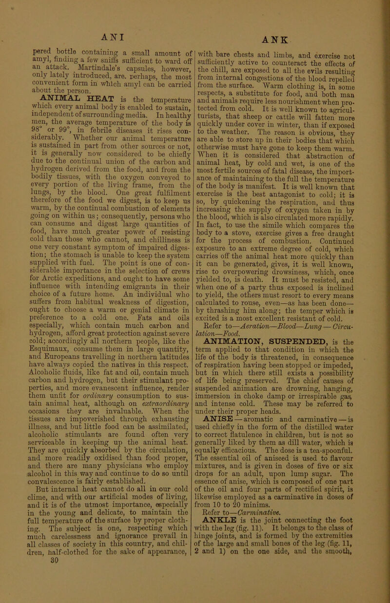 ANK pered bottle containing a small amount of amyl, finding a lew sniffs sufficient to ward off an attack. . Martindale’s capsules, however, only lately introduced, are. perhaps, the most convenient form in which amyl can be carried about the person. ANIMAL HEAT is the temperature which every animal body is enabled to sustain, independent of surrounding media. In healthy men, the average temperature of the body is 98° or 99°, in febrile diseases it rises con- siderably. Whether our animal temperature is sustained in part from other sources or not, it is generally now considered to be chiefly due to the continual union of the carbon and hydrogen derived from the food, and from the bodily tissues, with the oxygen conveyed to every portion of the living frame, from the lungs, by the blood. One great fulfilment therefore of the food we digest, is to keep us warm, by the continual combustion of elements going on within us; consequently, persons who can consume and digest large quantities of food, have much greater power of resisting cold than those who cannot, and chilliness is one very constant symptom of impaired diges- tion ; the stomach is unable to keep the system supplied with fuel. The point is one of con- siderable importance in the selection of crews for Arctic expeditions, and ought to have some influence with intending emigrants in their choice of a future home. An individual who suffers from habitual weakness of digestion, ought to choose a warm or genial climate in preference to a cold one. Fats and oils especially, which contain much carbon and hydrogen, afford great protection against severe cold; accordingly all northern people, like the Esquimaux, consume them in large quantity, and Europeans travelling in northern latitudes have always copied the natives in this respect. Alcoholic fluids, like fat and oil, contain much carbon and hydrogen, but their stimulant pro- perties, and more evanescent influence, render them unfit for ordinary consumption to sus- tain animal heat, although on extraordinary occasions they are invaluable. When the tissues are impoverished through exhausting illness, and but little food can be assimilated, alcoholic stimulants are found often very serviceable in keeping up the animal heat. They are quickly absorbed by the circulation, and more readily oxidised than food proper, and there are many physicians who employ alcohol in this way and continue to do so until convalescence is fairly established. But internal heat cannot do all in our cold clime, and with our artificial modes of living, and it is of the utmost importance, especially in the young and delicate, to maintain the full temperature of the surface by proper cloth- ing. The subject is one, respecting which much carelessness and ignorance prevail in all classes of society in this country, and chil- dren, half-clothed for the sake of appearance, 30 with bare chests and limbs, and exercise not sufficiently active to counteract the effects of the chill, are exposed to all the evils resulting from internal congestions of the blood repelled from the surface. Warm clothing is, in some respects, a substitute for food, and both man and animals require less nourishment when pro- tected from cold. It is well known to agricul- turists, that sheep or cattle will fatten more quickly under cover in -winter, than if exposed to the weather. The reason is obvious, they are able to store up in their bodies that which otherwise must have gone to keep them warm. When it is considered that abstraction of animal heat, by cold and wet, is one of the most fertile sources of fatal disease, the import- ance of maintaining to the full the temperature of the body is manifest. It is well known that exercise is the best antagonist to cold; it is so, by quickening the respiration, and thus increasing the supply of oxygen taken in by the blood, which is also circulated more rapidly. In fact, to use the simile which compares the body to a stove, exercise gives a free draught for the process of combustion. Continued exposure to an extreme degree of cold, which carries off the animal heat more quickly than it can be generated, gives, it is well known, rise to overpowering drowsiness, which, once yielded to, is death. It must be resisted, and when one of a party thus exposed is inclined to yield, the others must resort to every means calculated to rouse, even—as has been done— by thrashing him along; the temper which is excited is a most excellent resistant of cold. Refer to—Aeration—Blood—Lung — Circu- lation—Food. ANIMATION, SUSPENDED, is the term applied to that condition in which the life of the body is threatened, in consequence of respiration having been stopped or impeded, but in which there still exists a possibility of life being preserved. The chief causes of suspended animation are drowning, hanging, immersion in choke damp or irrespirable gas, and intense cold. These may be referred to under their proper heads. ANISE — aromatic and carminative — is used chiefly in the form of the distilled water to correct flatulence in children, but is not so generally liked by them as dill water, which is equally efficacious. The dose is a tea-spoonful. The essential oil of aniseed is used to flavour mixtures, and is given in doses of five or six drops for an adult, upon lump sugar. The essence of anise, which is composed of one part of the oil and four parts of rectified spirit, is likewise employed as a carminative in doses of from 10 to 20 minims. Refer to—Carminative. ANKLE is the joint connecting the foot with the leg (fig. 11). It belongs to the class of hinge joints, and is formed by the extremities of the large and small bones of the leg (fig. 11, 2 and 1) on the one side, and the smooth,