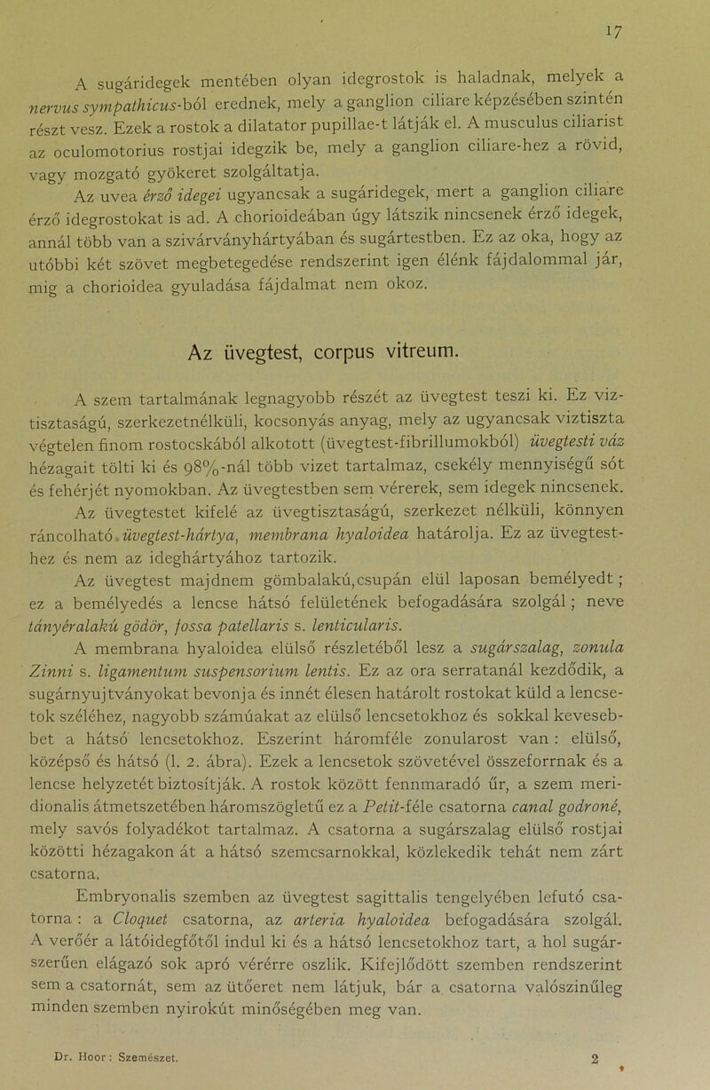 1/ A sugáridegek mentében olyan idegrostok is haladnak, melyek a nervus sympathicus-ból erednek, mely a ganglion ciliare képzésében szintén részt vesz. Ezek a rostok a dilatator pupillae-t látják el. A musculus ciliarist az oculomotorius rostjai idegzik be, mely a ganglion ciliare-hez a rövid, vagy mozgató gyökeret szolgáltatja. Az uvea érző idegei ugyancsak a sugandegek, mert a ganglion ciliare érző idegrostokat is ad. A chorioideában úgy látszik nincsenek érző idegek, annál több van a szivárványhártyában és sugártestben. Ez az oka, hogy az utóbbi két szövet megbetegedése rendszerint igen élénk fájdalommal jár, mig a chorioidea gyuladása fájdalmat nem okoz. Az üvegtest, corpus vitreum. A szem tartalmának legnagyobb részét az üvegtest teszi ki. Ez viz- tisztaságú, szerkezetnélküli, kocsonyás anyag, mely az ugyancsak viztiszta végtelen finom rostocskából alkotott (üvegtest-fibrillumokbol) üvegtesti váz hézagait tölti ki és 98%-nál több vizet tartalmaz, csekély mennyiségű sót és fehérjét nyomokban. Az üvegtestben sem vérerek, sem idegek nincsenek. Az üvegtestet kifelé az üvegtisztaságú, szerkezet nélküli, könnyen ráncolható üvegtest-hártya, membrana hyaloidea határolja. Ez az üvegtest- hez és nem az ideghártyához tartozik. Az üvegtest majdnem gömbalakú,csupán elül laposan bemélyedt ; ez a bemélyedés a lencse hátsó felületének befogadására szolgál; neve tányér alakú gödör, fossa patellaris s. lenticularis. A membrana hyaloidea elülső részletéből lesz a sugárszalag, zonula Zinni s. ligamentum suspensorium lentis. Ez az óra serratanál kezdődik, a sugárnyujtványokat bevonja és innét élesen határolt rostokat küld a lencse- tok széléhez, nagyobb számúakat az elülső lencsetokhoz és sokkal keveseb- bet a hátsó lencsetokhoz. Eszerint háromféle zonularost van : elülső, középső és hátsó (1. 2. ábra). Ezek a lencsetok szövetével összeforrnak és a lencse helyzetét biztosítják. A rostok között fennmaradó űr, a szem meri- dionalis átmetszetében háromszögletű ez a Petit-íéle csatorna canal godroné, mely savós folyadékot tartalmaz. A csatorna a sugárszalag elülső rostjai közötti hézagakon át a hátsó szemcsarnokkal, közlekedik tehát nem zárt csatorna. Embryonalis szemben az üvegtest sagittalis tengelyében lefutó csa- torna : a Cloquet csatorna, az artéria hyaloidea befogadására szolgál. A verőér a látóidegfőtől indul ki és a hátsó lencsetokhoz tart, a hol sugár- szerűen elágazó sok apró vérérre oszlik. Kifejlődött szemben rendszerint sem a csatornát, sem az ütőeret nem látjuk, bár a csatorna valószínűleg minden szemben nyirokút minőségében meg van. Dr. Hoor : Szemészet. 2