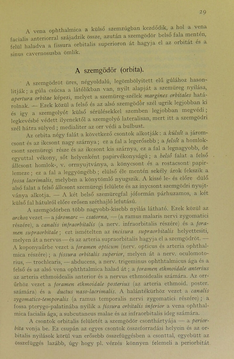 A véna ophthalmica a külső szemzugban kezdődik, a hol a véna facialis anteriorral szájadzik össze, azután a szemgödör belső fala menten, felül haladva a fissura orbitalis superioron át hagyja el az orbitat es a sinus cavernosusba ömlik. A szemgödör (orbita). A szemgödröt üres, négyoldalú, legömbölyített élű gúlához hason- lítják ; a gúla csúcsa a látólikban van, nyílt alapját a szemüreg nyílása, apertura orbitae képezi, melyet a szemüreg-szélek margines orbitales hatá- rolnak. — Ezek közül a felső és az alsó szemgödör szél ugrik legjobban ki és Így a szemgolyót külső sérülésekkel szemben legjobban megvédi; legkevésbé védett ilyenektől a szemgolyó laterálisán, mert itt a szemgödi i szél hátra sülyed ; medialiter az orr védi a bulbust. Az orbita négy falát a következő csontok alkotják : a külsőt a járom- csont és az ikcsont nagy szárnya; ez a fal a legerősebb ; a felsőt a homlok- csont szemüregi része és az ikcsont kis szárnya, ez a fal a legnagyobb, de egyúttal vékony, sőt helyenként papirvékonyságú ; a belső falat a felső állcsont homlok-, v. orrnyujtványa, a könycsont és a rostacsont papir- lemeze ; ez a fal a leggyöngébb ; elülső éle menten sekély árok fekszik a fossa lacrimalis, melyben a könytömlő nyugszik. A kissé le- és előre dűlő alsó falat a felső állcsont szemüregi felülete és az inycsont szemgödri nyujt- ványa alkotja. — A két belső szemüregfal jóformán párhuzamos, a két külső fal hátulról előre erősen széthajló lefutású. A szemgödörben több nagyobb-kisebb nyilas lathato. Ezek közül az archoz vezet — a. járomarc — csatorna, — (a ramus malaris nervi zygomatici részére), a canalis infraorbitalis (a nerv. infraorbitalis reszere) es a fora- men supraorbitale ; ezt ismételten az incisura snpraorbitalis helyettesíti, melyen át a nervus — és az artéria supraorbitalis hagyja el a szemgödröt. A koponyaűrbe vezet a foramen opticum (nerv. opticus és artéria ophthal- mica részére) ; a fissura orbitalis superior, melyen át a nerv. oculomoto- rius, — trochlearis, — abducens, a nerv. trigeminus ophthtalmicus ága és a felső és az alsó véna ophthtalmica halad át; a foramen ethmoidale anterius az artéria ethmoidealis anterior és a nervus ethmoidealis számára. Az orr- űrhöz vezet a foramen ethmoidale posterius (az artéria ethmoid. poster. számára) és a ductus naso-lacrimalis. A halántéktirhöz vezet a canalis zygomatico-temporalis (a ramus temporalis nervi zygomatici részére) ; a fossa pterygo-palatinába nyílik a fissura orbitalis inferior a véna ophthal- mica facialis ága, a subcutaneus malae és az infraorbitalis ideg számára. A csontok orbitalis felületét a szemgödör csonthártyája — a perior- bita vonja be. Ez csupán az egyes csontok összeforradási helyein és az or- bitalis nyílások körül van erősebb összefüggésben a csonttal, egyebütt az összefüggés lazább, úgy hogy pl. vérzés könnyen felemeli a periorbitát
