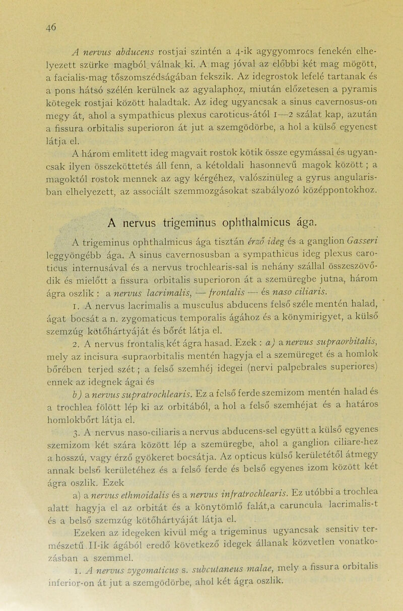 A nervus abducens rostjai szintén a 4-ik agygyomrocs fenekén elhe- lyezett szürke magból válnak ki. A mag jóval az előbbi két mag mögött, a facialis-mag tőszomszédságában fekszik. Az idegrostok lefelé tartanak és a pons hátsó szélén kerülnek az agyalaphoz, miután előzetesen a pyramis kötegek rostjai között haladtak. Az ideg ugyancsak a sinus cavernosus-on megy át, ahol a sympathicus plexus caroticus-ától 1—2 szálat kap, azután a fissura orbitalis superioron át jut a szemgödörbe, a hol a külső egyenest látja el. A három említett ideg magvait rostok kötik össze egymással és ugyan- csak ilyen összeköttetés áll fenn, a kétoldali hasonnevű magok között; a magoktól rostok mennek az agy kérgéhez, valószínűleg a gyrus angularis- ban elhelyezett, az associált szemmozgásokat szabályozó középpontokhoz. A nervus trigeminus ophthalmicus ága. A trigeminus ophthalmicus ága tisztán érző ideg és a ganglion Gasseri leggyöngébb ága. A sinus cavernosusban a sympathicus ideg plexus caro- ticus internusával és a nervus trochlearis-sal is nehány szállal összeszövő- dik és mielőtt a fissura orbitalis superioron át a szemüregbe jutna, három ágra oszlik : a nervus lacrimalis, ■— frontális —- és naso ciliaris. 1. A nervus lacrimalis a musculus abducens felső széle mentén halad, ágat bocsát a n. zygomaticus temporalis ágához és a könymirigyet, a külső szemzúg kötőhártyáját és bőrét látja el. 2. A nervus frontális,két ágra hasad. Ezek : a) a nervus supraorbitalis, mely az incisura -supraorbitalis mentén hagyja el a szemüreget es a homlok bőrében terjed szét; a felső szemhéj idegei (nervi palpebrales supeiiores) ennek az idegnek ágai és b) a nervus supralrochlearis. Ez a felső ferde szemizom mentén halad es a trochlea fölött lép ki az orbitából, a hol a felső szemhéjat es a határos homlokbőrt látja el. 3. A nervus naso-ciliaris a nervus abducens-sel együtt a külső egyenes szemizom két szára között lép a szemüregbe, ahol a ganglion ciliare-hez a hosszú, vagy érző gyökeret bocsátja. Az opticus külső kerületétől átmegy annak belső kerületéhez és a felső ferde és belső egyenes izom között két ágra oszlik. Ezek a) a nervus ethmoidalis és a nervus infratrochlearis. Ez utóbbi a trochlea alatt hagyja el az orbitát és a könytömlő falát,a caruncula lacrimalis-t és a belső szemzúg kötőhártyáját látja el. Ezeken az idegeken kívül még a trigeminus ugyancsak scnsiti\ ter- mészetű Il-ik ágából eredő következő idegek állanak közvetlen vonatko- zásban a szemmel. I. A nervus zygomalicus s. subeutaneus malae, mely a fissura orbitalis inferior-on át jut a szemgödörbe, ahol két ágra oszlik.