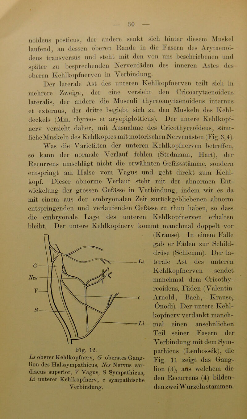 noideus posticus, der andere senkt sich hinter diesem Muskel laufend an dessen oberen Rande in die Fasern des Arytaenoi- deus transversus und steht mit den von uns beschriebenen und später zu besprechenden Nerven faden des inneren Astes des oberen Kehlkopf nerven in Verbindung. Der laterale Ast des unteren Kehlkopf nerven teilt sich in mehrere Zweige, der eine versieht den Cricoarytaenoideus lateralis, der andere die Musculi thyreoanytaenoideus internus et externus, der dritte begiebt sich zu den Muskeln des Kehl- deckels (Mm. thyreo- et aryepiglotticus). Der untere Kehlkopf- nerv versieht daher, mit Ausnahme des Cricothyreoideus, sämt- liche Muskeln des Kehlkopfes mit motorischen Nervenästen (Fig. 3,4'). Was die Varietäten der unteren Kehlkopf nerven betreffen, so kann der normale Verlauf fehlen (Stedmann, Hart), der Recurrens umschlägt nicht die erwähnten Gefässstämme, sondern entspringt am Halse vom Vagus und geht direkt zum Kehl- kopf. Dieser abnorme Verlauf steht mit der abnormen Ent- wickelung der grossen Gefässe in Verbindung, indem wir es da mit einem aus der embryonalen Zeit zurückgebliebenen abnorm entspringenden und verlaufenden Gefässe zu thun haben, so dass die embryonale Lage des unteren Kelilkopfnerven erhalten bleibt. Der untere Kehlkopfnerv kommt manchmal doppelt vor (Krause). In einem Falle gab er Fäden zur Schild- drüse (Schlemm). Der la- terale Ast des unteren Kehlkopfnerven sendet manchmal dem Cricothy- reoideus, Fäden (Valentin Arnold, Bach, Krause, / Onodi). Der untere Kehl- kopfnerv verdankt manch- mal einen ansehnlichen Teil seiner Fasern der Verbindung mit dem Sym- pathicus (Lenhossek), die Fig. 11 zeigt das Gang- 1 c den zwei Wurzeln stammen. on (3), aus welchem die en Recurrens (4) bilden- Fig. 12. Ls oberer Kehlkopf nerv, G oberstes Gang- lion des Halssympathicus, Ncs Nervus car- diacus superior, V Vagus, S Sympathicus, Li unterer Kehlkopfnerv, c sympathische Verbindung.