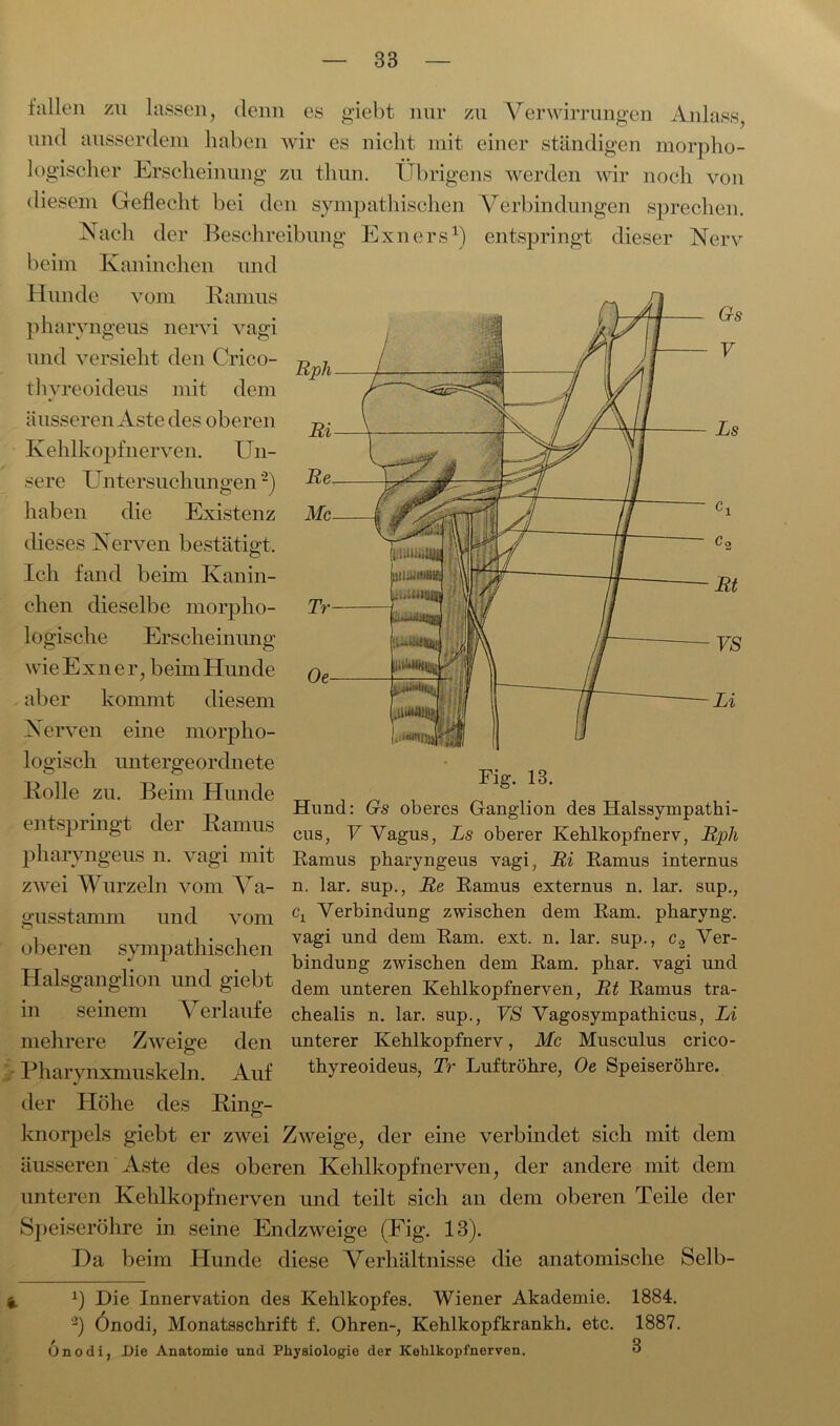 fallen zu lassen, denn es giebt nur zu Verwirrungen Anlass, und ausserdem haben wir es nicht mit einer ständigen morpho- logischer Erscheinung zu thun. Übrigens werden wir noch von diesem Geflecht bei den sympathischen Verbindungen sprechen. Nach der Beschreibung Exners1) entspringt dieser Nerv beim Kaninchen und Hunde vom Ramus pharyngeus nervi vagi und versieht den Crico- thyreoideus mit dem äusseren Aste des oberen Kehlkopfnerven. Un- sere Untersuchungen2) haben die Existenz dieses Nerven bestätigt. Ich fand beim Kanin- chen dieselbe morpho- logische Erscheinung wie Exner, beim Hunde aber kommt diesem Nerven eine morpho- logisch untergeordnete Rolle zu. Beim Hunde entspringt der Ramus Fig. 13. Hund: Gs oberes Ganglion des Halssympathi- cus, V Vagus, Ls oberer Kehlkopfnerv, Rpli pharyngeus n. vagi mit Ramus pharyngeus vagi, Ri Ramus internus zwei Wurzeln vom Va- n, lar. sup., Re Ramus externus n. lar. sup., crusstamm und vom C1 Verbindung zwischen dem Ram. pharyng. i ,i • i vagi und dem Ram. ext. n. lar. sup., c, Ver- . bmdung zwischen dem Ram. phar. vagi und Halsganglion und giebt ^em unteren Kehlkopfnerven, Rt Ramus tra- in seinem Verlaufe chealis n. lar. sup., VS Vagosympathicus, Li mehrere Zweige den unterer Kehlkopfnerv, Mc Musculus crico- Pharynxmuskeln Auf thyreoideus, Tr Luftröhre, Oe Speiseröhre. der Höhe des Ring- knorpels giebt er zwei Zweige, der eine verbindet sich mit dem äusseren Aste des oberen Kehlkopfnerven, der andere mit dem unteren Kehlkopf nerven und teilt sich an dem oberen Teile der Speiseröhre in seine Endzweige (Fig. 13). Ha beim Hunde diese Verhältnisse die anatomische Selb- Die Innervation des Kehlkopfes. Wiener Akademie. 1884. ‘2) Önodi, Monatsschrift f. Ohren-, Kehlkopfkrankh. etc. 1887. Onodi, Die Anatomie und Physiologie der Kohlkopfnerven. 3