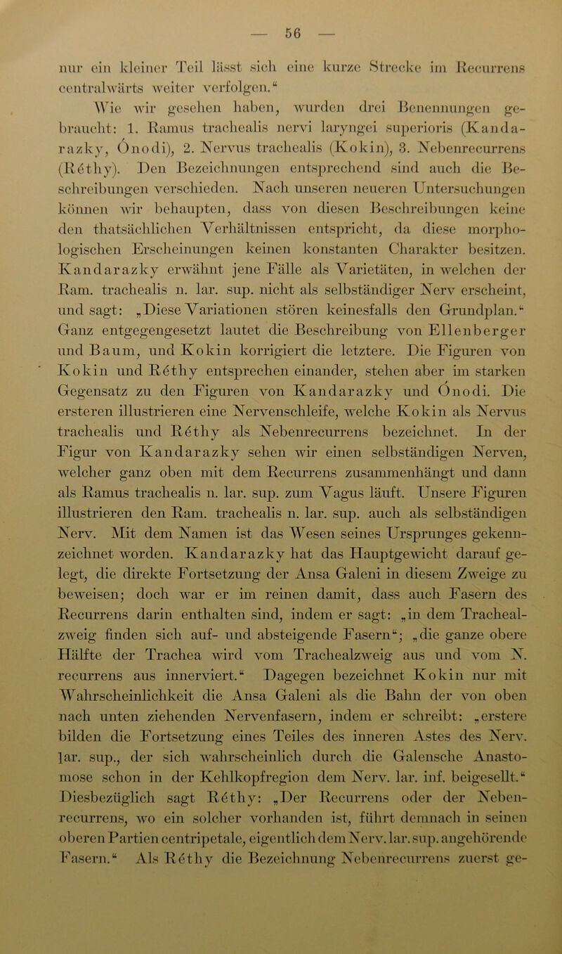 nur ein kleiner Teil lässt sich eine kurze Strecke im Recurrens centralwärts weiter verfolgen.“ Wie wir gesehen haben, wurden drei Benennungen ge- braucht: 1. Ramus trachealis nervi laryngei superioris (Kanda- razky, Onodi), 2. Nervus trachealis (Kokin), 3. Nebenrecurrens (Röthy). Den Bezeichnungen entsprechend sind auch die Be- schreibungen verschieden. Nach unseren neueren Untersuchungen können wir behaupten, dass von diesen Beschreibungen keine den thatsäclilichen Verhältnissen entspricht, da diese morpho- logischen Erscheinungen keinen konstanten Charakter besitzen. Kandarazky erwähnt jene Fälle als Varietäten, in welchen der Ram. trachealis n. lar. sup. nicht als selbständiger Nerv erscheint, und sagt: „Diese Variationen stören keinesfalls den Grundplan.“ Ganz entgegengesetzt lautet die Beschreibung von Ellenberger und Baum, und Kokin korrigiert die letztere. Die Figuren von Kokin und Rethy entsprechen einander, stehen aber im starken / Gegensatz zu den Figuren von Kandarazky und Onodi. Die ersteren illustrieren eine Nervenschleife, welche Kokin als Nervus trachealis und Rethy als Nebenrecurrens bezeichnet. In der Figur von Kandarazky sehen wir einen selbständigen Nerven, welcher ganz oben mit dem Recurrens zusammenhängt und dann als Ramus trachealis n. lar. sup. zum Vagus läuft. Unsere Figuren illustrieren den Ram. trachealis n. lar. sup. auch als selbständigen Nerv. Mit dem Namen ist das Wesen seines Ursprunges gekenn- zeichnet worden. Kandarazky hat das Hauptgewicht darauf ge- legt, die direkte Fortsetzung der Ansa Galeni in diesem Zweige zu beweisen; doch war er im reinen damit, dass auch Fasern des Recurrens darin enthalten sind, indem er sagt: „in dem Tracheal- zweig finden sich auf- und absteigende Fasern“; „die ganze obere Hälfte der Trachea wird vom Trachealzweig aus und vom N. recurrens aus innerviert.“ Dagegen bezeichnet Kokin nur mit Wahrscheinlichkeit die Ansa Galeni als die Bahn der von oben nach unten ziehenden Nervenfasern, indem er schreibt: „erstere bilden die Fortsetzung eines Teiles des inneren Astes des Nerv. ]ar. sup., der sich wahrscheinlich durch die Galensche Anasto- mose schon in der Kehlkopfregion dem Nerv. lar. inf. beigesellt.“ Diesbezüglich sagt Röthy: „Der Recurrens oder der Neben- recurrens, wo ein solcher vorhanden ist, führt demnach in seinen oberen Partien centripetalc, eigentlich dem Nerv. lar. sup. angehörende Fasern.“ Als Röthy die Bezeichnung Nebenrecurrens zuerst ge-