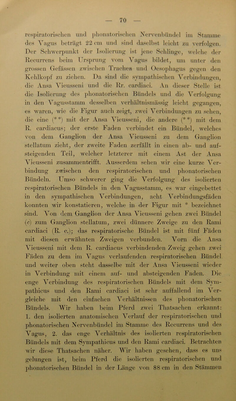 respiratorischen und phonatorischen Nervenbündel im Stamme des Vagus beträgt 22 ein und sind daselbst leicht zu verfolgen. Der Schwerpunkt der Isolierung ist jene Schlinge, welche der Recurrens beim Ursprung vom Vagus bildet, um unter den grossen Gelassen zwischen Trachea und Oesophagus gegen den Kehlkopf zu ziehen. Da sind die sympathischen Verbindungen, die Ansa Vieusseni und die Kr. cardiaci. An dieser Stelle ist die Isolierung des phonatorischen Bündels und die Verfolgung in den Vagusstamm desselben verhältnismässig leicht gegangen, es waren, wie die Figur auch zeigt, zwei Verbindungen zu sehen, die eine (* *) mit der Ansa Vieusseni, die andere (* *) mit dem R. cardiacus; der erste Faden verbindet ein Bündel, welches von dem Ganglion der Ansa Vieusseni zu dem Ganglion stellatum zieht, der zweite Faden zerfällt in einen ab- und auf- steigenden Teil, welcher letzterer mit einem Ast der Ansa Vieusseni zusammentrifft. Ausserdem sehen wir eine kurze Ver- bindung zwischen den respiratorischen und phonatorischen Bündeln. Umso schwerer ging die Verfolgung des isolierten respiratorischen Bündels in den Vagusstamm, es war eingebettet in den sympathischen Verbindungen, acht Verbindungsfäden konnten wir konstatieren, welche in der Figur mit * bezeichnet sind. Von dem Ganglion der Ansa Vieusseni gehen zwei Bündel (c) zum Ganglion stellatum, zwei dünnere Zweige zu den Rami cardiaci (R. c.); das respiratorische Bündel ist mit fünf Fäden mit diesen erwähnten Zweigen verbunden. Vorn die Ansa Vieusseni mit dem R. cardiacus verbindenden Zweig gehen zwei Fäden zu dem im Vagus verlaufenden respiratorischen Bündel und weiter oben steht dasselbe mit der Ansa Vieusseni wieder in Verbindung mit einem auf- und absteigenden Faden. Die enge Verbindung des respiratorischen Bündels mit dem Sym- pathicus und den Rami cardiaci ist sehr auffallend im Ver- gleiche mit den einfachen Verhältnissen des phonatorischen Bündels. Wir haben beim Pferd zwei Thatsachen erkannt: 1. den isolierten anatomischen Verlauf der respiratorischen und phonatorischen Nervenbündel im Stamme des Recurrens und des Vagus, 2. das enge Verhältnis des isolierten respiratorischen Bündels mit dem Sympathicus und den Rami cardiaci. Betrachten wir diese Thatsachen näher. Wir haben gesehen, dass es uns gelungen ist, beim Pferd die isolierten respiratorischen und phonatorischen Bündel in der Länge von 88 cm in den Stämmen