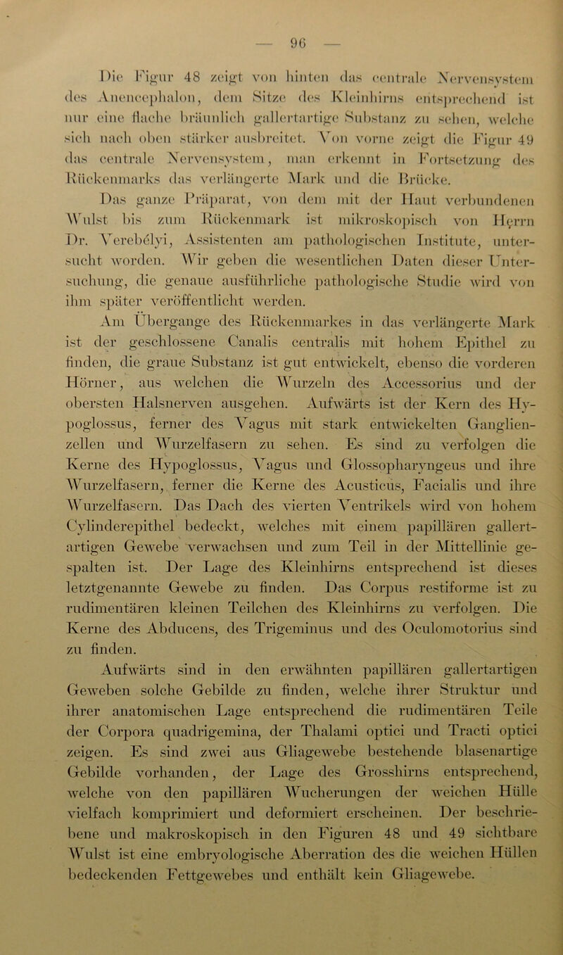 9G Die Figur 48 zeigt von hinten (las centrale Nervensystem des Anenceplialon, dem Sitze des Kleinhirns entsprechend ist nur eine flache bräunlich gallertartige Substanz zu sehen, welche sich nach oben stärker ausbreitet. Von vorne zeigt die Figur 49 das centrale Nervensystem, man erkennt in Fortsetzung des Rückenmarks das verlängerte Mark und die Brücke. Das ganze Präparat, von dem mit der Haut verbundenen Wulst bis zum Rückenmark ist mikroskopisch von H$rrn Dr. Verebelyi, Assistenten am pathologischen Institute, unter- sucht worden. Wir geben die wesentlichen Daten dieser Unter- suchung, die genaue ausführliche pathologische Studie wird von ihm später veröffentlicht werden. Am Übergange des Rückenmarkes in das verlängerte Mark ist der geschlossene Canalis centralis mit hohem Epithel zu finden, die graue Substanz ist gut entwickelt, ebenso die vorderen Hörner, aus welchen die Wurzeln des Accessorius und der obersten Halsnerven ausgehen. Aufwärts ist der Kern des Hy- poglossus, ferner des Vagus mit stark entwickelten Ganglien- zellen und Wurzelfasern zu sehen. Es sind zu verfolgen die Kerne des Hypoglossus, Vagus und Glossopharyngeus und ihre Wurzel fasern, ferner die Kerne des Acusticus, Facialis und ihre Wurzel fasern. Das Dach des vierten Ventrikels wird von hohem Cylinderepithel bedeckt, welches mit einem papillären gallert- artigen Gewebe verwachsen und zum Teil in der Mittellinie ge- spalten ist. Der Lage des Kleinhirns entsprechend ist dieses letztgenannte Gewebe zu finden. Das Corpus restifonne ist zu rudimentären kleinen Teilchen des Kleinhirns zu verfolgen. Die Kerne des Abducens, des Trigeminus und des Oculomotorius sind zu finden. Aufwärts sind in den erwähnten papillären gallertartigen Geweben solche Gebilde zu finden, welche ihrer Struktur und ihrer anatomischen Lage entsprechend die rudimentären Teile der Corpora quadrigemina, der Thalami optici und Tracti optici zeigen. Es sind zwei aus Gliagewebe bestehende blasenartige Gebilde vorhanden, der Lage des Grosshirns entsprechend, welche von den papillären Wucherungen der weichen Hülle vielfach komprimiert und deformiert erscheinen. Der beschrie- bene und makroskopisch in den Figuren 48 und 49 sichtbare Wulst ist eine embryologische Aberration des die weichen Hüllen bedeckenden Fettgewebes und enthält kein Gliagewebe.