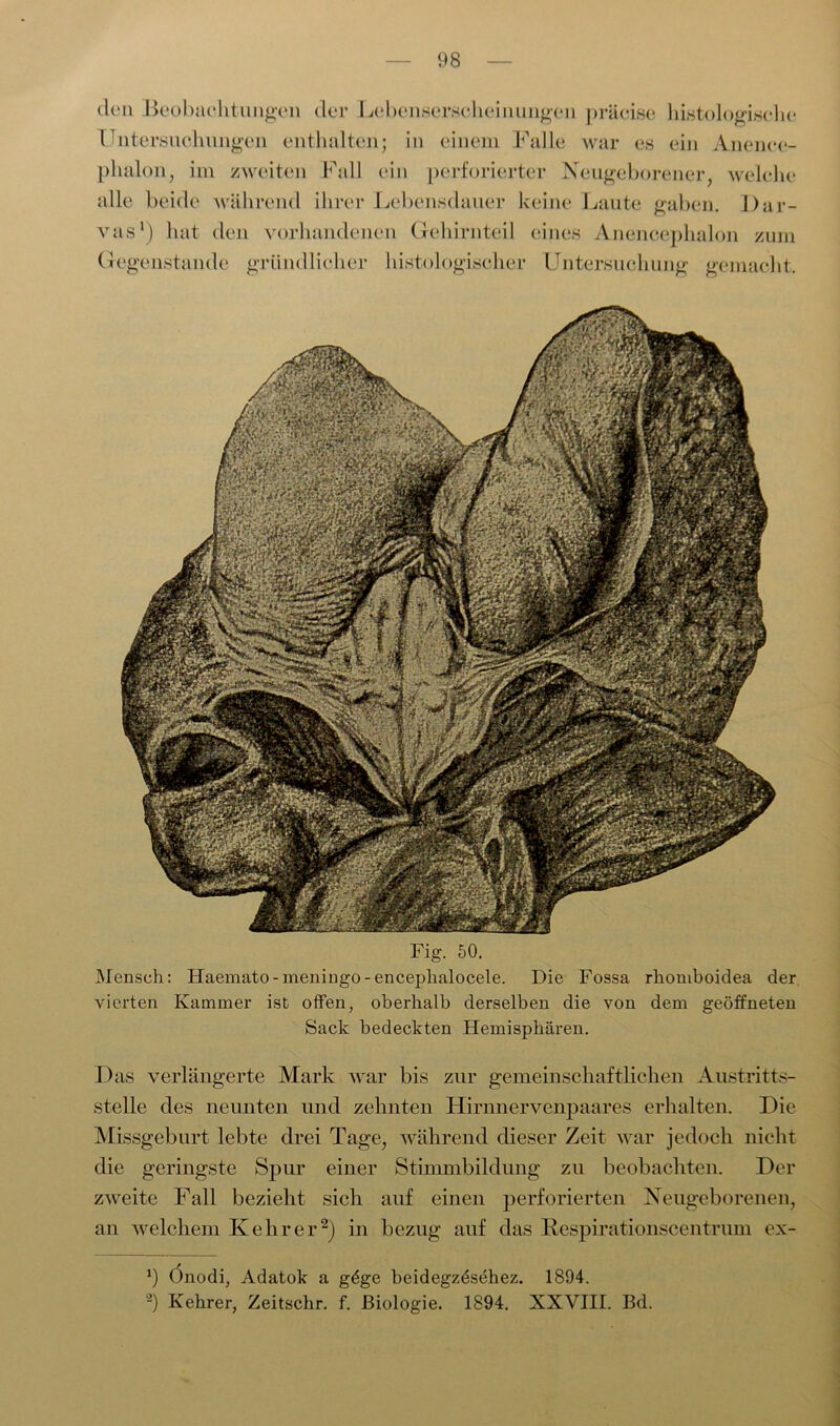 den Beobachtungen der Lebenserscheinungen präcise histologische Untersuchungen enthalten; in einem Falle war es ein Anence- phalon, im zweiten Fall ein perforierter Neugeborener, welche alle beide während ihrer Lebensdauer keine Laute gaben. Dar- vas1) hat den vorhandenen Gehirnteil eines Anencephalon zum Gegenstände gründlicher histologischer Untersuchung gemacht. Fig. 50. Mensch: Haemato-meniugo-enceplialocele. Die Fossa rhomboidea der vierten Kammer ist offen, oberhalb derselben die von dem geöffneten Sack bedeckten Hemisphären. Das verlängerte Mark war bis zur gemeinschaftlichen Austritts- stelle des neunten und zehnten Hirnnervenpaares erhalten. Die Missgeburt lebte drei Tage, während dieser Zeit war jedoch nicht die geringste Spur einer Stimmbildung zu beobachten. Der zweite Fall bezieht sich auf einen perforierten Neugeborenen, an welchem Kehrer2) in bezug auf das Respirationscentrum ex- J) Onodi, Adatok a göge beidegzösehez. 1894. -) Kehrer, Zeitschr. f. Biologie. 1894. XXVIII. Bd.