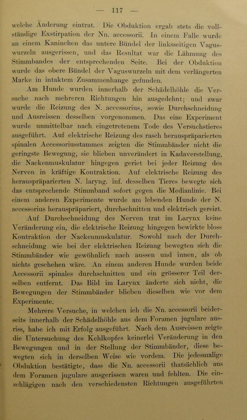 welche Änderung eintrat. Die Obduktion ergab stets die voll- ständige Exstirpation der Nn. accessorii. In einem Falle wurde an einem Kaninchen das untere Bündel der linksseitigen Vagus- wurzeln ausgerissen, und das Resultat war die Lähmung des Stimmbandes der entsprechenden Seite. Bei der Obduktion wurde das obere Bündel der Vaguswurzeln mit dem verlängerten Marke in intaktem Zusammenhänge gefunden. Am Hunde wurden innerhalb der Schädelhöhle die Ver- suche nach mehreren Richtungen hin ausgedehnt; und zwar wurde die Reizung des N. accessorius, sowie Durchschneidung und Äusreissen desselben vorgenommen. Das eine Experiment wurde unmittelbar nach eingetretenem Tode des Versuchstieres ausgeführt. Auf elektrische Reizung des rasch herauspräparierten spinalen Accessoriusstammes zeigten die Stimmbänder nicht die geringste Bewegung, sie blieben unverändert in Kadaverstellung, die Nackenmuskulatur hingegen geriet bei jeder Reizung des Nerven in kräftige Kontraktion. Auf elektrische Reizung des herauspräparierten N. laiyng. inf. desselben Tieres bewegte sich das entsprechende Stimmband sofort gegen die Medianlinie. Bei einem anderen Experimente wurde am lebenden Hunde der N. accessorius herauspräpariert, durchschnitten und elektrisch gereizt. Auf Durchschneidung des Nerven trat im Larynx keine Veränderung ein, die elektrische Reizung hingegen bewirkte bloss Kontraktion der Nackenmuskulatur. Sowohl nach der Durch- schneidung wie bei der elektrischen Reizung bewegten sich die Stimmbänder wie gewöhnlich nach aussen und innen, als ob nichts geschehen wäre. An einem anderen Hunde wurden beide Accessorii spinales durchschnitten und ein grösserer Teil der- selben entfernt. Das Bild im Larynx änderte sich nicht, die Bewegungen der Stimmbänder blieben dieselben wie vor dem Experimente. Mehrere Versuche, in welchen ich die Nn. accessorii beider- seits innerhalb der Schädelhöhle aus dem Foramen jugulare aus- riss, habe ich mit Erfolg ausgeführt. Nach dem Äusreissen zeigte die Untersuchung des Kehlkopfes keinerlei Veränderung in den Bewegungen und in der Stellung der Stimmbänder, diese be- wegten sich in derselben Weise wie vordem. Die jedesmalige Obduktion bestätigte, dass die Nn. accessorii thatsächlich au.s dem Foramen jugulare ausgerissen waren und fehlten. Die ein- schlägigen nach den verschiedensten Richtungen ausgefiihiteii