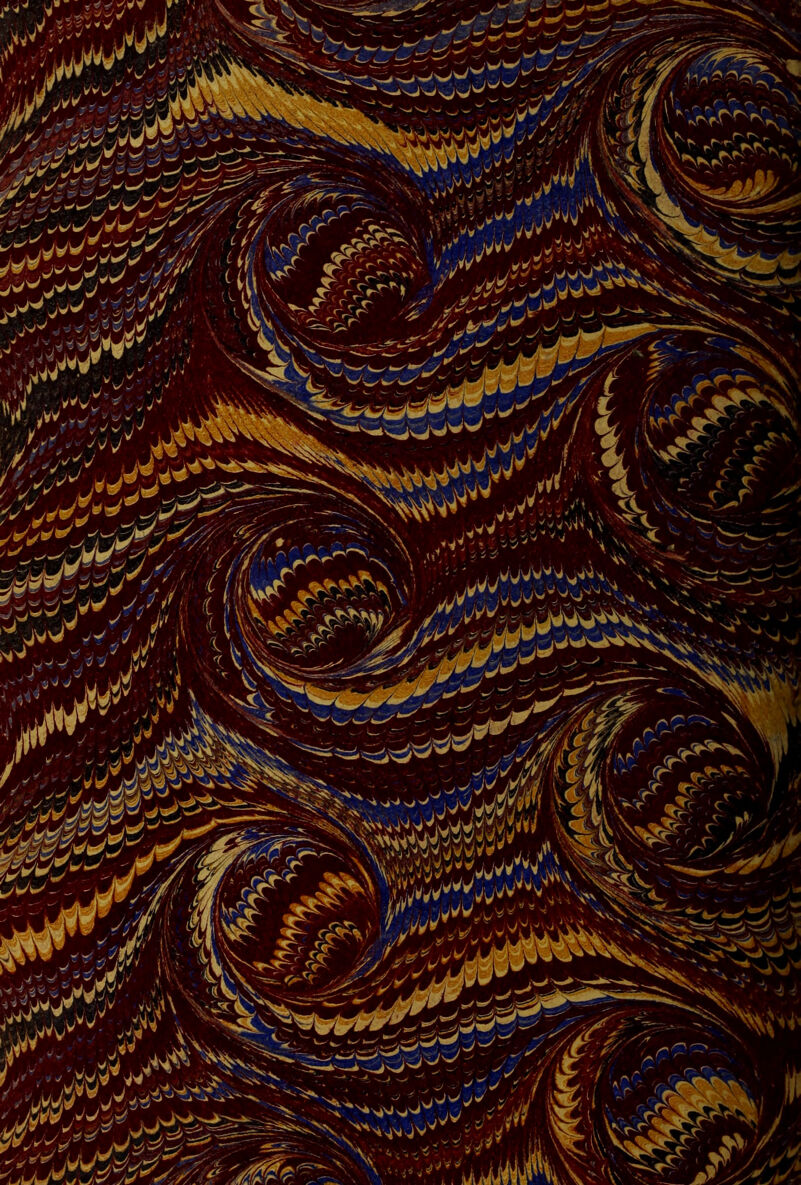 No text description is available for this image
