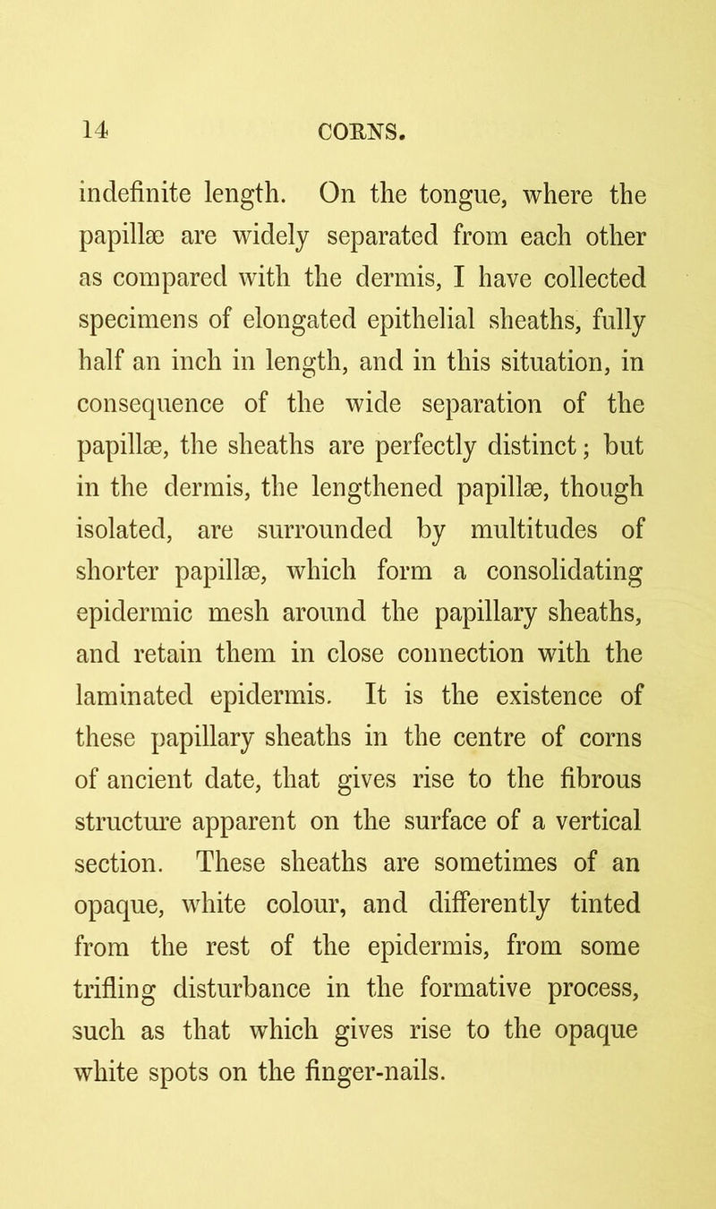 indefinite length. On the tongue, where the papillae are widely separated from each other as compared with the dermis, I have collected specimens of elongated epithelial sheaths, fully half an inch in length, and in this situation, in consequence of the wide separation of the papillae, the sheaths are perfectly distinct; but in the dermis, the lengthened papillae, though isolated, are surrounded by multitudes of shorter papillae, which form a consolidating epidermic mesh around the papillary sheaths, and retain them in close connection with the laminated epidermis. It is the existence of these papillary sheaths in the centre of corns of ancient date, that gives rise to the fibrous structure apparent on the surface of a vertical section. These sheaths are sometimes of an opaque, white colour, and differently tinted from the rest of the epidermis, from some trifling disturbance in the formative process, such as that which gives rise to the opaque white spots on the finger-nails.