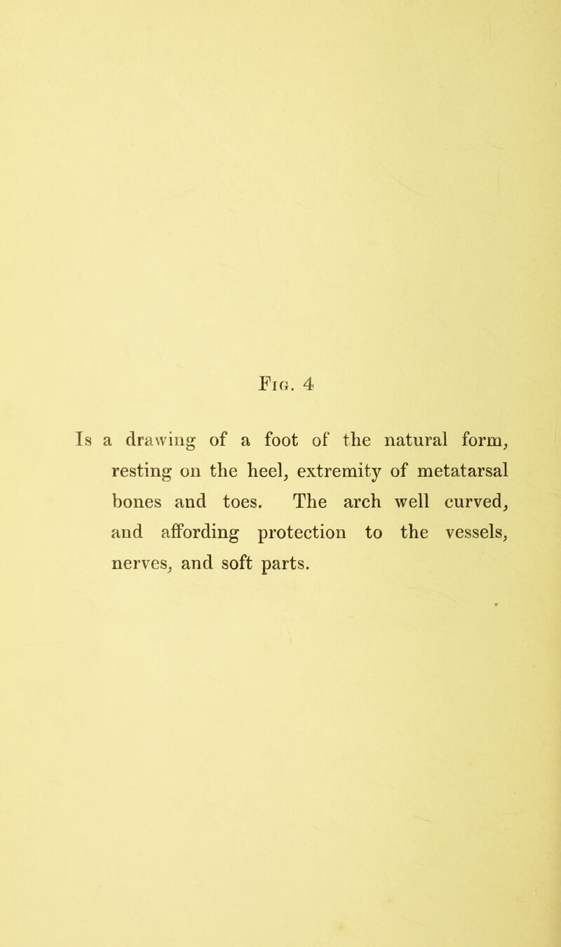 Is a drawing of a foot of the natural form, resting on the heel, extremity of metatarsal bones and toes. The arch well curved, and affording protection to the vessels, nerves, and soft parts.