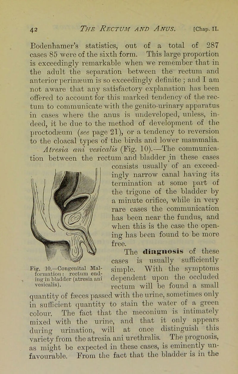 Bodenhamer’s statistics, out of a total of 287 cases 85 were of the sixth form. This large proportion is exceedingly remarkable when we remember that in the adult the separation between the rectum and anterior perimeum is so exceedingly definite ; and I am not aware that any satisfactory explanation has been offered to account for this marked tendency of the rec- tum to communicate with the genito-urinary apparatus in cases where the anus is undeveloped, unless, in- deed, it be due to the method of development of the proctodseum (see page 21), or a tendency to reversion to the cloacal types of the birds and lower mammalia. Atresia ani vesicalis (Fig. 10).—The communica- tion between the rectum and bladder in these cases consists usually of an exceed- ingly narrow canal having its termination at some part of the trigone of the bladder by a minute orifice, while in very rare cases the communication has been near the fundus, and when this is the case the open- ing has been found to be more free. The diagnosis of these cases is usually sufficiently simple. With the symptoms dependent upon the occluded rectum will be found a small quantity of fieces passed with the urine, sometimes only in sufficient quantity to stain the water of a green colour. The fact that the meconium is intimately mixed with the urine, and that it only appears during urination, will at once distinguish this variety from the atresia ani urethralis. The prognosis, as might be expected in these cases, is eminently un- favourable. From the fact that the bladder is in the Fig. 10.—Congenital Mnl- fonimtion: rectum end; ing in bladder (atresia ani vesicalis).