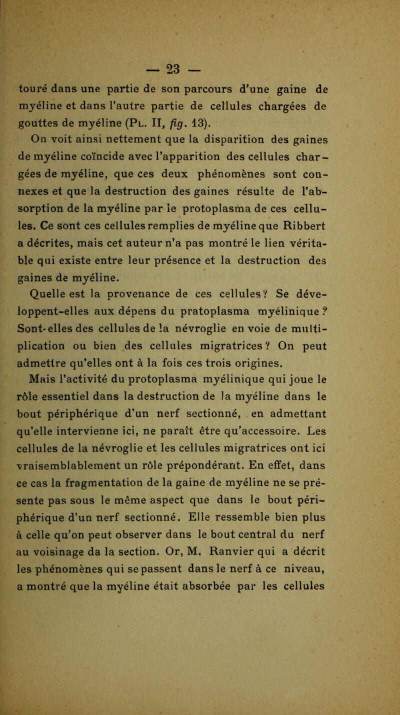 touré dans une partie de son parcours d’une gaine de myéline et dans l’autre partie de cellules chargées de gouttes de myéline (Pl. II, fig. 13). On voit ainsi nettement que la disparition des gaines de myéline coïncide avec l’apparition des cellules char- gées de myéline, que ces deux phénomènes sont con- nexes et que la destruction des gaines résulte de l’ab- sorption de la myéline par le protoplasma de ces cellu- les. Ce sont ces cellules remplies de myéline que Ribbert a décrites, mais cet auteur n’a pas montré le lien vérita- ble qui existe entre leur présence et la destruction des gaines de myéline. Quelle est la provenance de ces cellules? Se déve- loppent-elles aux dépens du pratoplasma myélinique ? SonLelles des cellules de la névroglie en voie de multi- plication ou bien des cellules migratrices? On peut admettre qu’elles ont à la fois ces trois origines. Mais l’activité du protoplasma myélinique qui joue le rôle essentiel dans la destruction de la myéline dans le bout périphérique d’un nerf sectionné, en admettant qu’elle intervienne ici, ne paraît être qu’accessoire. Les cellules de la névroglie et les cellules migratrices ont ici vraisemblablement un rôle prépondérant. En effet, dans ce cas la fragmentation de la gaine de myéline ne se pré- sente pas sous le même aspect que dans le bout péri- phérique d’un nerf sectionné. Elle ressemble bien plus à celle qu’on peut observer dans le bout central du nerf au voisinage da la section. Or, M. Ranvier qui a décrit les phénomènes qui se passent dans le nerf à ce niveau, a montré que la myéline était absorbée par les cellules