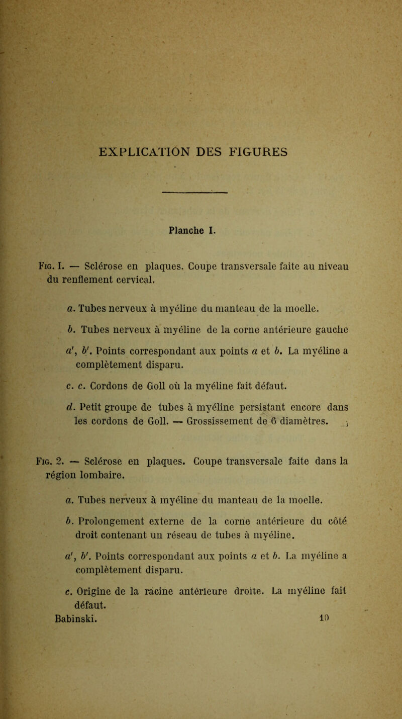 EXPLICATION DES FIGURES Planche I. Fig. I. — Sclérose en plaques. Coupe transversale faite au niveau du renflement cervical. a. Tubes nerveux à myéline du manteau de la moelle. b. Tubes nerveux à myéline de la corne antérieure gauche ci', b’. Points correspondant aux points a et b. La myéline a complètement disparu. c. c. Cordons de Goll où la myéline fait défaut. d. Petit groupe de tubes à myéline persistant encore dans les cordons de Goll. — Grossissement de 6 diamètres. % Fig. 2. — Sclérose en plaques. Coupe transversale faite dans la région lombaire. a. Tubes nerveux à myéline du manteau de la moelle. b. Prolongement externe de la corne antérieure du côté droit contenant un réseau de tubes à myéline. a', b'. Points correspondant aux points a et b. La myéline a complètement disparu. c. Origine de la racine antérieure droite. La myéline fait défaut. Babinski. 10