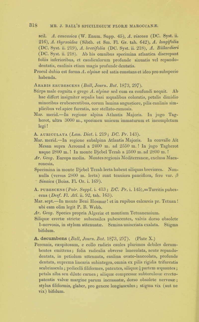 scil. A. caucasica (W. Enum. Supp. 45), A. viscosa (DC. Syst. ii. 216), A. thyrsoidea (Sibth. et Sm. FI. Gr. tab. 642), A. lonyifolia (DC. Syst. ii. 219), A. brevifolia (DC. Syst. ii. 218), A. Billardieri (DC. Syst. ii. 218). Ab his omnibus specimina atlantica discrepant foliis inferioribus, et caudiculorum profunde siuuatis vel repando- dentatis, caulinis etiam magis profunde dentatis. Procul dubio est forma A. alpincs sed satis constans et ideo pro subspecie liabenda. Arabis erubescens {Bull, Journ. Bot. 1873, 297). Stirps male cognita e grege A. alpince sed cum ea confundi nequit. Ab hac differt iusigniter sepalis basi aequalibus coloratis, petalis dimidio minoribus erubesceutibus, eorum lamina angustiore, pilis caulinis sim- plicibus vel apice furcatis, nec stellato-ramosis. Mar. merid.—In regione alpina Atlantis Majoris. In jugo Tag- lierot, ultra 3000 m., specimen unicum immaturum et incompletum legi! A. auriculata {Lam. Diet. i. 219; DC. Pr. 143). Mar. merid.—In regione subalpina Atlantis Majoris. In convalle Ait Mesan supra Arround a 2400 m. ad 2550 m. ! In jugo Taghcrot usque 2800 m. ! In monte Djebel Tezah a 2500 m. ad 2800 m.! Ar. Geoy. Europa media. Montes regionis Mediterranean exclusa Maca- ronesia. Specimina in monte Djebel Tezah lecta liabent siliquas breviores. Non- nulla (versus 2800 in. lecta) sunt tenuiora pauciflora, fere var. (3 Sinaica (Boiss. FI. Or. i. 169). A. pubescens {Pair. Suppl. i. 413; DC. Pr. i. 145),=Turritis pubes- cens (Desf. FI. Atl. ii. 92, tab. 163). Mar. sept.—In monte Beni Ilosmar! et in rupibus calcarcis pr. Tetuan ! ubi earn olim legit P. B. Webb. Ar. Geoy. Species propria Algeria; et montium Tetuanensium. Siliquae erect® strictae subsessiles pubescentes, valvis dorso obsolete 1-nervosis, in stylum attenuate. Semina uniseriata exalata. Stigma bifidum. A. decumbens {Ball, Journ. Bot. 1873, 297). (Plate X.) Perennis, caespitosum, e collo radicis caules plurimos debiles decurn- bentes emittens; folia radicalia obverse lanceolata, acute repando- dentata, in petiolum attennata, caulina ovato-lanceolata, profunde dentata, suprema linearia subintegra, omnia ex pilis rigidis trifurcatis scabriuscula; pedicelli filiformes, patentes, siliqu® j partem aequantes; petala alba seu dilute carnea; siliquae compressae subtorulosae erecto- patentis valvae margine parum incrassatae, dorso obsolete nervosse; stylus filiformis, glaber, pro genere longiusculus; stigma vix (aut ne vix) bifidum.