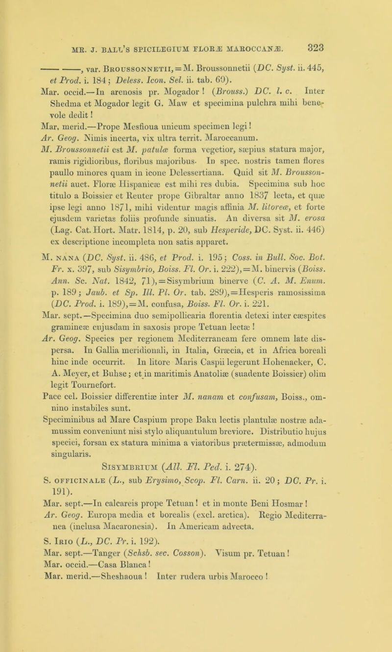 , var. Broussonnetii, = M. Broussonnetii (DC. Syst. ii. 445, et Prod. i. 184 5 Deless. Icon. Sel. ii. tab. GO). Mar. occid.— In arenosis pr. Mogador ! (Brouss.) DC. 1. c. Inter Shedma et Mogador legit G. Maw et speeimiua pulehra milii bene- vole dedit! Mar, merid.—Prope Mesfioua unicum specimen legi! Ar. Geog. Nimis incerta, vix ultra territ. Maroccanum. M. Broussonnetii est M. patulce forma vegetior, ssepius statura major, rainis rigidioribus, floribus majoribus. In spec, nostris tamen flores paullo minores quam in icone Delessertiana. Quid sit M. Brousson- netii auct. Florae Hispanic® est milii res dubia. Specimina sub hoc titulo a Boissier et Reuter prope Gibraltar anno 1837 lecta, et quae ipse legi anno 1871, milii videntur magis affinia M. litorece, et forte ejusdem varietas foliis profunde sinuatis. An diversa sit M. erosa (Lag. Cat. Ilort. Matr. 1814, p. 20, sub Hesperide, DC. Syst. ii. 44G) ex description incompleta non satis apparet. M. nana (DC. Syst. ii. 486, et Prod. i. 105; Coss. in Bull. Soc. Bot. Fr. x. 307, sub Sisymbrio, Boiss. FI. Or. i. 222), =M. binervis (Boiss. Ann. Sc. Nat. 1842, 71 )> = Sisymbrium binerve (C. A. M. Enum. p. 180; daub, et Sp. III. PI. Or. tab. 280),=IIesperis ramosissima (DC. Prod. i. 180), = M. confusa, Boiss. FI. Or. i. 221. Mar. sept. —Specimina duo semipollicaria florentia detexi inter csespites gramme® cujusdam in saxosis prope Tetuan lectse ! Ar. Geog. Species per regionem Mediterranean! fere omnem late dis- persa. In Gallia meridionali, in Italia, Gr®cia, et in Africa boreali bine inde occurrit. In litore Maris Caspii legerunt Iiolienacker, C. A. Meyer, et Bulise; et in maritimis Anatoli® (suadente Boissier) olim legit Tournefort. Pace cel. Boissier differenti® inter M. nanarn et confusam, Boiss., om- nino instabiles sunt. Speciminibus ad Mare Caspium prope Baku lectis plantul® nostr® ada- mussim conveniunt nisi stylo aliquantulum breviore. Distributio hujus speciei, forsau ex statura minima a viatoribus pr®termiss®, admodum singularis. Sisymbeiijm (All. FI. Fed. i. 274). S. officinale (L., sub Erysimo, Scop. Fl. Cam. ii. 20; DC. Pr. i. 101). Mar. sept.—In calcareis prope Tetuan! et in monte Beni Hosmar ! Ar. Geog. Europa media et borealis (excl. arctica). Regio Mediterra- nea (inclusa Macaronesia). In Americam advecta. S. Irio (L., DC. Pr. i. 102). Mar. sept.—Tanger (Schsb. sec. Cosson). Visum pr. Tetuan ! Mar. occid.—Casa Blanca! Mar. merid.—Sheshaoua ! Inter rudera urbis Marocco !