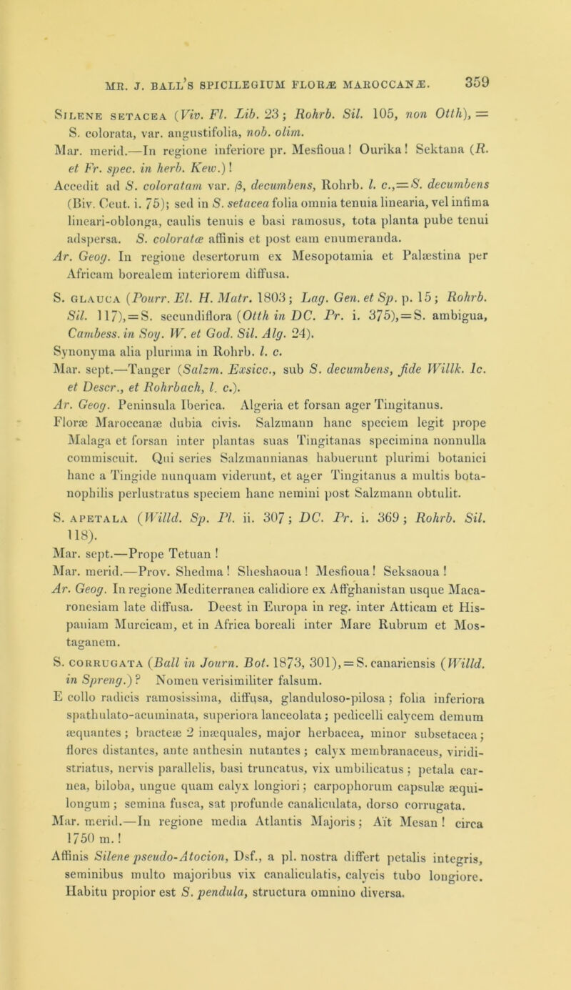 Silene setacea (Via. FI. Lib. 23; Rohrb. Sil. 105, non Ottli),— S. colorata, var. angustifolia, nob. olim. Mar. merid.—In regione inferiore pr. Mesfioua! Ourika! Sektana {R. et Fr. spec, in herb. Kew.)! Accedit ad S. color at am var. /3, decumbens, Rohrb. 1. c.,=S. decumbens (Biv. Ceut. i. 75); sed in S. setacea folia omnia tenuia linearia, vel infima lineari-oblonga, caulis tenuis e basi ramosus, tota planta pube tenui adspersa. S. coloratce aflinis et post earn enumeranda. Ar. Geog. In regione desertorum ex Mesopotamia et Palsestina per Africam borealem interiorem diffusa. S. glauca (Pourr.El. H. Matr. 1803; Lag. Gen.etSp. p. 15; Rohrb. Sil. 117), = S. secundiflora {Otth in DC. Pr. i. 375), = S. ambigua, Cambess. in Soy. IV. et God. Sil. Alg. 24). Synonyma alia plurima in Rohrb. 1. c. Mar. sept.—Tanger (Salzm. Exsicc., sub S. decumbens, fide Willk. lc. et Descr., et Rohrbach, l. c.). Ar. Geog. Peninsula Iberica. Algeria et forsan ager Tingitanus. Florae Maroccanse dubia civis. Salzmann hanc speciem legit prope Malaga et forsan inter plantas suas Tingitanas specimina nonnulla commiscuit. Qni series Salzmannianas habuerunt plurimi botanici hanc a Tingide nunqnam viderunt, et ager Tingitanus a multis bota- nophilis perlustratus speciem hanc neraini post Salzmann obtulit. S. apetala (Willd. Sp. PI. ii. 307; DC. Pr. i. 369; Rohrb. Sil. 118). Mar. sept.—Prope Tetuan ! Mar. merid.—Prov. Shedma ! Sheshaoua ! Mesfioua! Seksaoua ! Ar. Geog. In regione Mediterranea calidiore ex Affghanistan usque Maca- ronesiam late diffusa. Deest in Enropa in reg. inter Atticam et His- paniam Murcicam, et in Africa boreali inter Mare Rubrum et Mos- taganem. S. corrugata (Ball in Joum. Bot. 1873, 301), = S. canariensis (Willd. in Spreng.)? Nomen verisimiliter falsum. E collo radicis ramosissima, diffusa, glanduloso-pilosa; folia inferiora spathulato-acuininata, superiora lanceolata; pedicelli calycem demum icquantes; bracteaj 2 insequales, major herbacea, minor subsetacea; flores distantes, ante anthesin nutantes ; calyx membranaceus, viridi- striatus, nervis parallelis, basi truncatus, vix umbilicatus ; petala car- nea, biloba, ungue quam calyx longiori; carpophorum capsulae sequi- longum ; semina fusca, sat profunde canaliculata, dorso corrugata. Mar. merid.—In regione media Atlantis Majoris; Ait Mesan ! circa 1750 m.! Affinis Silene pseudo-Atocion, Dsf., a pi. nostra differt petalis integris, seminibus multo majoribus vix canaliculatis, calycis tubo longiore. Habitu propior est S. pendula, structura omniuo diversa.