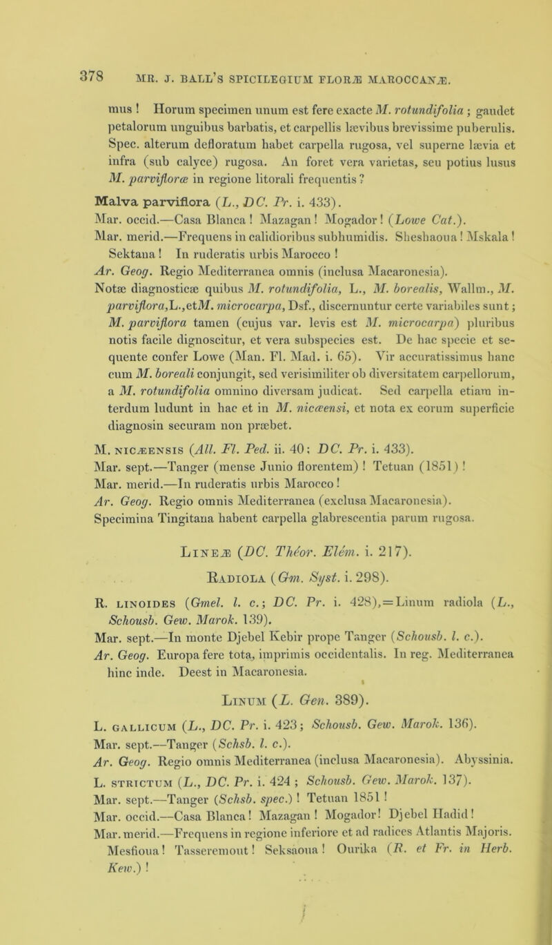 raus ! Horum specimen unum est fere exacte M. rotundifolia ; gaudet jietalorum unguibus barbatis, et carpellis kevibus brevissime puberulis. Spec, alterum defloratum habet carpella rugosa, vel superne Isevia et infra (sub calyce) rugosa. An foret vera varietas, seu j)otius lusus M. parviflora; in regione litorali frequentis ? Malva parviflora (L., DC. Pr. i. 433). Mar. oceid.—Casa Blanca! Mazagan! Mogador ! (Lowe Cat.). Mar. mend.—Frequens in calidioribus subhumidis. Sheshaoua! Mskala ! Sektaua ! In ruderatis urbis Maroeco ! Ar. Geog. Regio Mediterranea omnis (inclusa Macaronesia). Not a; diagnostics; quibus M. rotundifolia, L., M. borealis, Wallm., M. parviflora,L.,etM. microcarpa, Dsf., discernuntur certe variabiles sunt; M. parviflora tamen (cujus var. levis est M. microcarpa) pluribus notis facile dignoscitur, et vera subspecies est. De liac specie et se- quente confer Lowe (Man. FI. Mad. i. 65). Yir accuratissimus banc cum M. boreali conjungit, sed verisimiliter ob diversitatem carpellorum, a M. rotundifolia omnino diversam judicat. Sed carpella etiam in- terdum ludunt in hae et in M. nicceensi, et nota ex eorum superficie diagnosin securam non proebet. M. NiC/EENSis (All. FI. Ped. ii. 40; DC. Pr. i. 433). Mar. sept.—Tanger (mense Junio florentem) ! Tetuan (1851) ! Mar. merid.—In ruderatis urbis Marocco ! Ar. Geog. Regio omnis Mediterranea (exclusa Macaronesia). Specimina Tingitana habent carpella glabrescentia parum rugosa. LustevE (DC. TMor. Elem. i. 217). Radiola (Gm. Syst. i. 298). R. linoides (Gmel. 1. c.; DC. Pr. i. 428), = Linum radiola (L., Schousb. Gew. Marok. 139). Mar. sept.—In monte Djebel Ivebir prope Tanger (Schousb. 1. c.). Ar. Geog. Europa fere tota, imprimis occidentals. In reg. Mediterranea bine inde. Deest in Macaronesia. I Linum (L. Gen. 389). L. gallicum (L., DC. Pr. i. 423; Schousb. Gew. Marok. 136). Mar. sept.—Tanger (Schsb. 1. c.). Ar. Geog. Regio omnis Mediterranea (inclusa Macaronesia). Abyssinia. L. strictum (L., DC. Pr. i. 424 ; Schousb. Gew. Marok. 137). Mar. sept.—Tanger {Schsb. spec.) ! Tetuan 1851 ! Mar. occid.—Casa Blanca! Mazagan! Mogador! Djebel Iladid ! Mar. merid.—Frequens in regione inferiore et ad radices Atlantis Majoris. Mesfioua! Tasseremout! Seksaoua! Ourika (P. et Fr. in Herb. Kew.) ! i