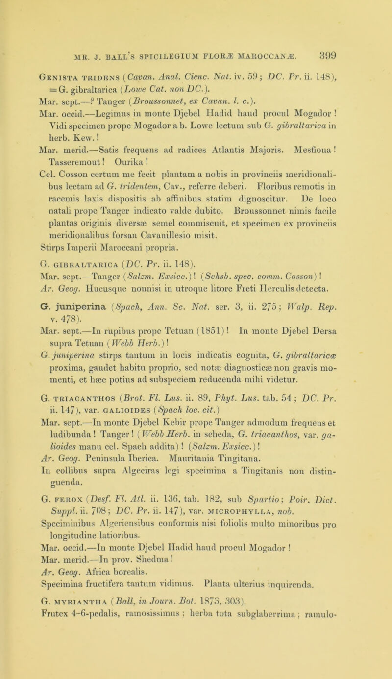 Genista tridens (Cavan. Anal. Cienc. Nat. iv. 59; DC. Pr. ii. 148), = G. gibraltarica (Lowe Cat. non DC.). Mar. sept.—? Tanger (Broussonnet, ex Cavan. 1. c.). Mar. occid.—Legimus in monte Djebel Hadid baud procul Mogador ! Vidi specimen prope Mogador ab. Lowe lectum sub G. gibraltarica in herb. Kew.! Mar. merid.—Satis frequens ad radices Atlantis Majoris. Mesfioua! Tasseremout! Ourika ! Cel. Cosson certum me fecit plantam a nobis in provinciis meridionali- bus lectam ad G. tridentem, Cav., referre deberi. Floribus remotis in racemis laxis dispositis ab affinibus statim dignoscitur. De loco natali prope Tanger indicato valde dubito. Broussonnet niinis facile plantas originis diversse semel commiscuit, et specimen ex provinciis meridionalibus forsan Cavanillesio misit. Stirps Imperii Maroccani propria. G. gibraltarica (DC. Pr. ii. 148). Mar. sept.—Tanger (Salzm. Exsicc.)! (Schsb. spec. comm. Cosson)! Ar. Geog. Ilucusque nonnisi in utroque litore Freti Herculis detecta. G. juniperina (Spach, Ann. Sc. Nat. ser. 3, ii. 2/5; Walp. Rep. v. 478). Mar. sept.—In rupibus prope Tetuan (1851)! In monte Djebel Dersa supra Tetuan (Webb Herb.)! G. juniperina stirps tantum in locis indicatis cognita, G. gibraltarica proxima, gaudet habitu proprio, sed notaj diagnosticae non gravis mo- menti, et liaec potius ad subspeciem reducenda mihi videtur. G. triacanthos (Brot. FI. Lus. ii. 89, Phyt. Lus. tab. 54 ; DC. Pr. ii. 147), var. galioides (Spach loc. cit.) Mar. sept.—In monte Djebel Kebir prope Tanger admodum frequens et ludibunda ! Tanger ! (Webb Ilerb. in scheda, G. triacanthos, var. ga- lioides manu cel. Spach addita) ! (Salzm. Exsicc.)! Ar. Geog. Peninsula Iberica. Mauritania Tingitana. In collibus supra Algeciras legi specimina a Tingitanis non distin- guenda. G. ferox (Desf. FI. Atl. ii. 136, tab. 182, sub Spartio; Poir. Diet. Suppl. ii. 798; DC. Pr. ii. 147), var. microphylla, nob. Speciminibus Algeriensibus eonformis nisi foliolis mnlto minoribus pro longitudine latioribus. Mar. occid.—In monte Djebel Hadid baud procul Mogador ! Mar. merid.—In prov. Shedma! Ar. Geog. Africa borealis. Specimina fructifera tantum vidimus. Planta ultcrius inquirenda. G. myriantiia (Ball, in Journ. Bot. 1873, 303). Frutex 4-6-pedalis, ramosissimus ; herba tota subglaberrima ; ramulo*