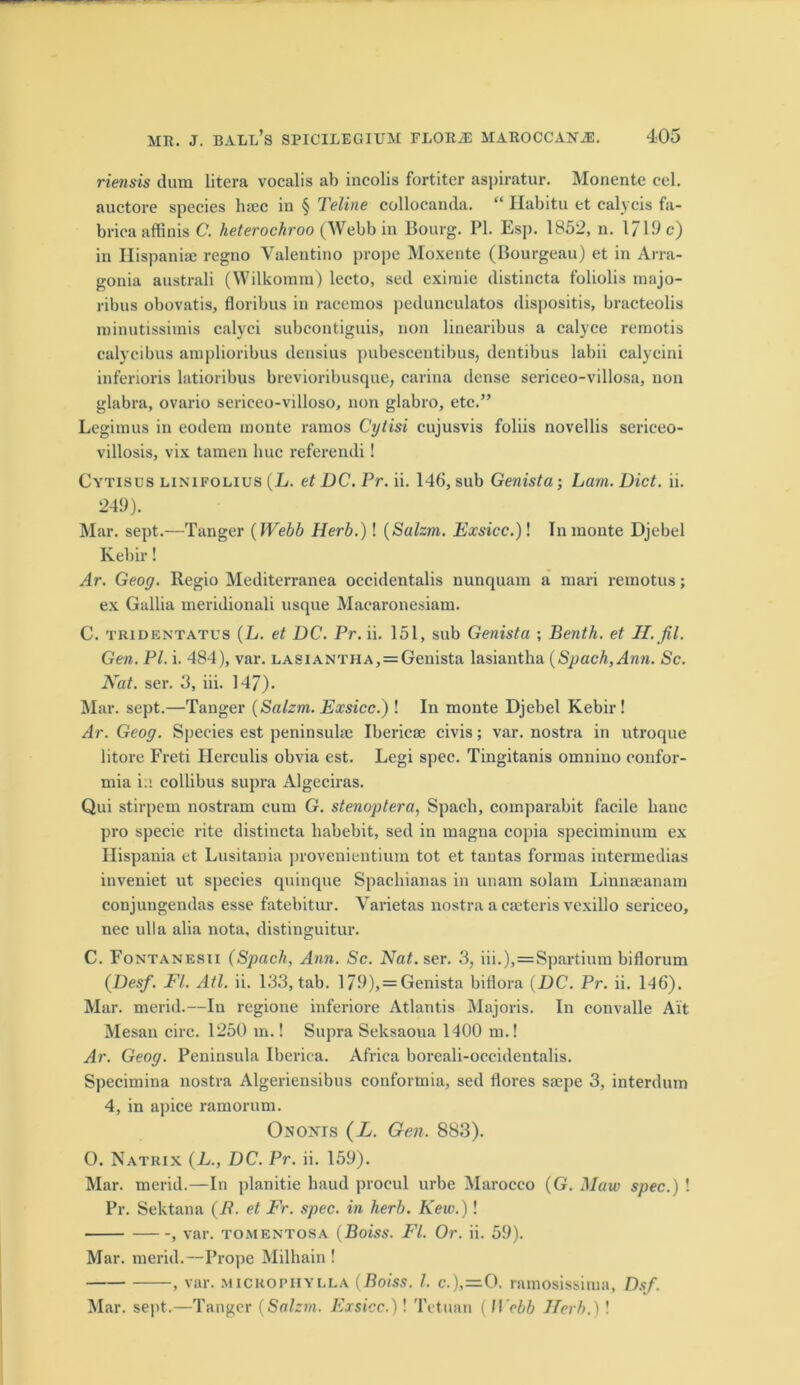 riensis dum litera vocalis ah incolis fortiter aspiratur. Monente cel. auctore species haec in § Teline collocanda. “ Habitu et calycis fa- bricaaffinis C. heterochroo (Webb in Bourg. PI. Esp. 1852, n. 1719 c) in Ilispaniae regno Valentino prope Moxente (Bourgeau) et in Arra- gonia australi (Wilkomm) lecto, sed eximie distincta foliolis majo- ribus obovatis, floribus in racemos pedunculatos dispositis, bracteolis rninutissimis calyci subcontiguis, non linearibus a ealyce reraotis calycibus amplioribus densius pubescentibus, dentibus labii calycini inferioris latioribus brevioribusque, carina dense sericeo-villosa, non glabra, ovario serieeo-villoso, non glabro, etc.” Legimus in eodem monte ramos Cytisi cujusvis foliis novellis sericeo- villosis, vix tamen hue referendi! Cytisus linifolius (L. et DC. Pr. ii. 146, sub Genista; Lam. Diet. ii. 249). Mar. sept.—Tanger (Webb Herb.)! (Salzm. Exsicc.)! In monte Djebel Kebir! Ar. Geog. Regio Mediterranea occidentalis nunquam a mari remotus; ex Gallia meridionali usque Macaronesiam. C. TRiDENTATUS (L. et DC. Pr. ii. 151, sub Genista ; Benth. et II. fit. Gen. PI. i. 484), var. LASiANTHA, = Genista lasiantha (Spach,Ann. Sc. Nat. ser. 3, iii. 147). Mar. sept.—Tanger (Salzm. Exsicc.) ! In monte Djebel Kebir ! Ar. Geog. Species est peninsula? Ibericse civis; var. nostra in utroque litore Freti Herculis obvia est. Legi spec. Tingitanis omnino confor- mia i.i collibus supra Algeciras. Qui stirpem nostram cum G. stenoptera, Spach, comparabit facile liauc pro specie rite distincta liabebit, sed in magna copia speciminum ex Ilispania et Lusitania provenientium tot et tantas formas intermedias inveniet ut species quinque Spachianas in unam solam Linnaeanam conjungendas esse fatebitur. Varietas nostra a caeteris vexillo sericeo, nec ulla alia nota, distinguitur. C. Fontanesii (Spach, Ann. Sc. Nat. ser. 3, iii.),=Spartium biflorum (Desf. FI. Atl. ii. 133, tab. 179), = Genista biflora (DC. Pr. ii. 146). Mar. merid.—In regione inferiore Atlantis Majoris. In convalle Ait Mesan circ. 1250 m.! Supra Seksaoua 1400 m.! Ar. Geog. Peninsula Iberica. Africa boreali-occidentalis. Specimina nostra Algeriensibus conformia, sed flores saepe 3, interdum 4, in apice ramorum. Ononis (L. Gen. 883). 0. Natkix (L., DC. Pr. ii. 159). Mar. merid.—In planitie baud procul urbe Marocco (G. Maw spec.) ! Pr. Sektana (/?. et Fr. spec, in herb. Kew.)! , var. tomentosa (Boiss. FI. Or. ii. 59). Mar. merid.—Prope Milhain ! , var. mickophylla (Boiss. 1. c.),=0. ramosissima, Dsf. Mar. sept.—Tanger (Salzm. Exsicc.)! Tetuan ( Webb Herb.) !