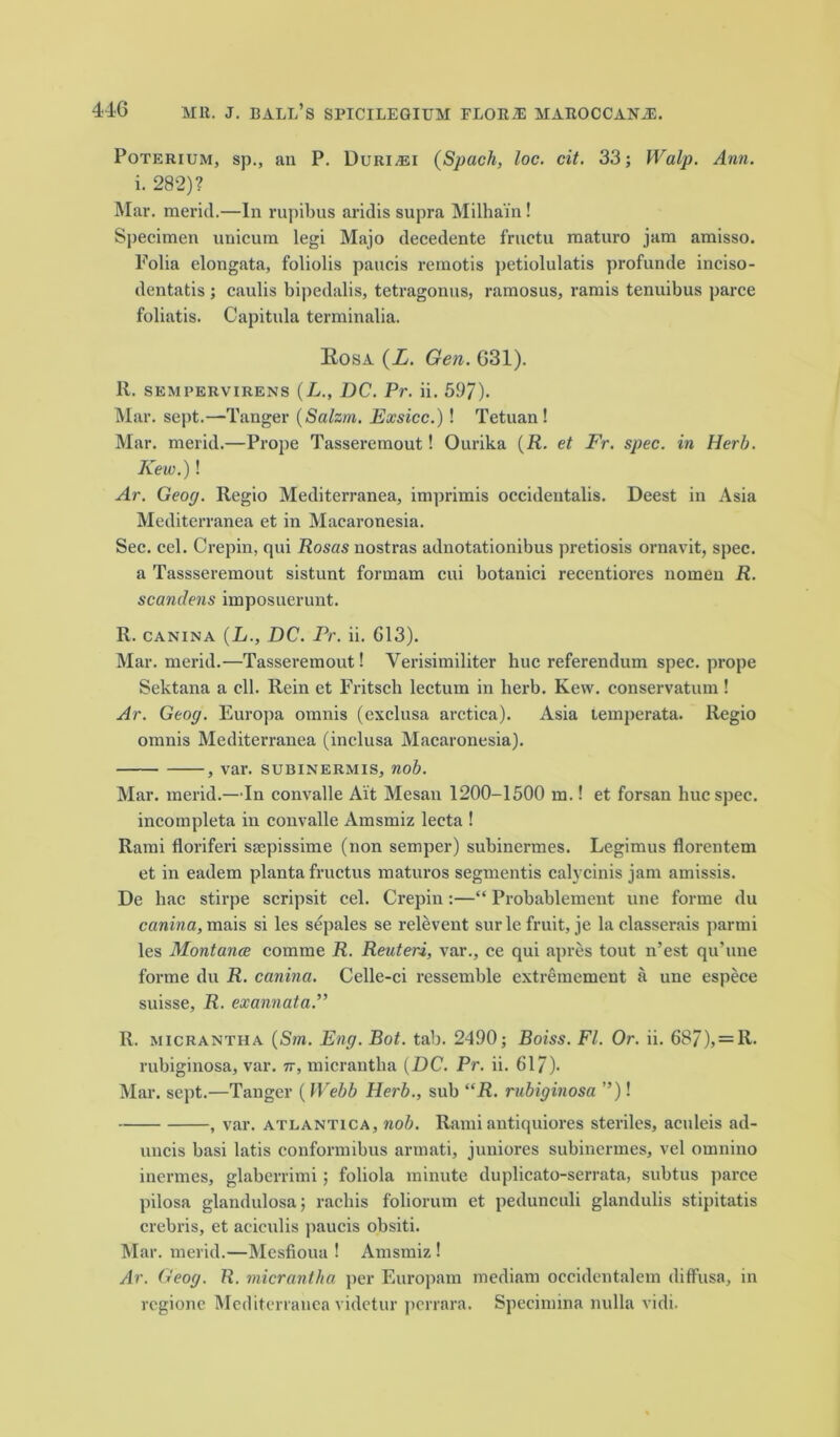 Poterium, sp., an P. DuRiiEi (Spach, loc. cit. 33; Walp. Ann. i. 282)? Mar. merid.—In rupibus aridis supra Milha'in! Specimen unicum legi Majo decedente fructu maturo jam amisso. Folia elongata, foliolis paucis rcmotis petiolulatis profunde inciso- dentatis ; caulis bipedalis, tetragonus, ramosus, ramis tenuibus parce foliatis. Capitula terminalia. Kosa (L. Gen. 631). R. sempervirens (L., DC. Pr. ii. 597). Mar. sept.—-Tanger (Salzm. Exsicc.)! Tetuan ! Mar. merid.—Prope Tasseremout! Ourika (JR. et Fr. spec, in Herb. Kew.)! Ar. Geog. Regio Mediterranea, imprimis occidentalis. Deest in Asia Mediterranea et in Maearonesia. Sec. cel. Crepin, qui Rosas nostras adnotationibus pretiosis ornavit, spec, a Tassseremout sistunt formam cui botanici recentiores nomen R. scanclens imposuerunt. R. canina (L., DC. Pr. ii. 613). Mar. merid.—Tasseremout! Verisimiliter hue referendum spec, prope Sektana a ell. Rein et Fritsch lectum in herb. Kew. conservatum! Ar. Geog. Europa omnis (exclusa arctica). Asia temperata. Regio omnis Mediterranea (inclusa Maearonesia). , var. subinermis, nob. Mar. merid.—In convalle Ait Mesan 1200-1500 m.! et forsan hue spec, incompleta in convalle Amsmiz lecta ! Rami floriferi stepissime (non semper) suhinermes. Legimus florentem et in eadem planta fructus maturos segmentis calycinis jam amissis. De hac stirpe scripsit cel. Crepin:—“ Probablement une forme du canina, mais si les sepales se relevent sur le fruit, je la classerais parmi les Montanae comme R. Reuteri, var., ce qui apres tout n’est qu’une forme du R. canina. Celle-ci ressemble extremement a une espece suisse, R. exannata.” R. micrantha (Stn. Eng. Bot. tab. 2490; Boiss. FI. Or. ii. 687), = R- rubiginosa, var. 7r, micrantha (DC. Pr. ii. 617). Mar. sept.—Tanger ( Webb Herb., sub “R. rubiginosa ”)! , var. atlantica, nob. Rami autiquiores steriles, aculeis ad- uncis basi latis conformibus armati, juniores subinermes, vel omnino inermes, glaberrimi; foliola minute duplicato-serrata, subtus parce pilosa glandulosa; rachis foliorum et pedunculi glandulis stipitatis crebris, et aciculis paucis obsiti. Mar. merid.—Mesfioua ! Amsmiz ! Ar. Geog. R. micrantha per Europam medium occidentalem diffusa, in regione Mediterranea videtur perrara. Specimina nulla vidi.