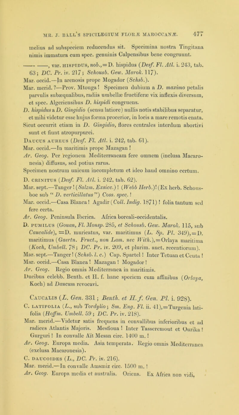 melius ad suhspeeiem reducendus sit. Specimina nostra Tingitana nimis immatura cum spec, genuinis Calpensibus bene congruunt. , var. hispidUS, nob.,= D. hispidus (Desf. FI. Atl. i. 243, tab. 63; DC. Pr. iv. 217; Schousb. Gew. Marok. 117). Mar. occid.—In arenosis prope Mogador (Schsb.). Mar. merid. ?—Prov. Mtouga! Specimen dubium a D. maximo petalis parvulis subaxqualibus, radiis umbellsc fructiferue vix inflexis diversum, et spec. Algeriensibus D. hispidi congiueus. D. hispidus a D. Gingidio (sensu latiore) nullis notis stabilibus separatur, et mihi videtur esse hujus forma procerior, in locis a mare remotis enata. Sicut occurrit etiam in D. Gingidio, flores centrales interdum abortivi sunt et Hunt atropurpurei. Daucus aureus {Desf. FI. Atl. i. 242, tab. 61). Mar. occid.—In maritimis prope Mazagan ! Ar. Geog. Per ’regionem Mediterraneam fere omnem (inclusa Macaro- nesia) diffusus, sed potius rarus. Specimen nostrum unicum incompletum et ideo baud omnino certum. D. crinitus {Desf. FI. Atl. i. 242, tab. 62). Mar. sept.—Tanger ! {Salzm. Exsicc.) ! {Webb Herb.f. (Ex herb. Schous- boe sub “ D. verticillatus ”) Coss. spec.! Mar. occid.—Casa Blanca! Agadir (Coll. Indig. 1871)! folia tantum sed fere certa. A)'. Geog. Peninsula Iberica. Africa boreali-occidentalis. D. puwilus {Gouan, FI. Monsp. 285, et Schousb. Gew. Marolc. 115, sub Caucalide), =D. muricatus, var. maritimus {L. Sp. PI. 349), = D. maritimus {Gaertn. Fruct., non Lam. nec With.), = Orlaya maritima {Koch, Umbell. 78; DC. Pr. iv. 209, et plurim. auct. recentiorum). Mar. sept.—Tanger! {Schsb. 1. c.) Cap. Spartel ! Inter Tetuan et Ceuta ! Mar. occid.—Casa Blanca ! Mazagan ! Mogador! Ar. Geog. Regio omnis Meditei’ranea in maritimis. Ducibus celebb. Benth. et II. f. banc speciem cum affinibus {Orlaya, Koch) ad Daucum revocavi. Caucalis {L. Gen. 331; Benth. et 11. f. Gen. PI. i. 928). C. latifolia (L., sub Tordylio; Sm. Eng. FI. ii. 41),=Turgenia lati- folia {Hoffm. Umbell. 59 ; DC. Pr. iv. 218). Mar. merid.—Videtur satis frequens in convallibus inferioribus et ad radices Atlantis Majoris. Mesfioua ! Inter Tasseremout ct Ourika ! Gurguri! In convalle Ait Mesan circ. 1400 m.! Ar. Geog. Europa media. Asia tcmperata. Regio omnis Mediterranea (exclusa Macaronesia). C. daucoides (L., DC. Pr. iv. 216). Mar. merid.—In convalle Amsmiz circ. 1500 m. ! Ar. Geog. Europa media et australis. Oriens. Cx Africa non vidi.