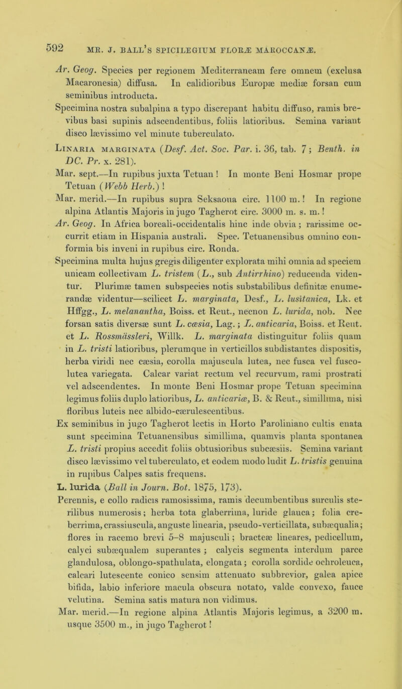 Ar. Geog. Species per regionem Mediterranean! fere oranem (exclusa Macaronesia) diffusa. In calidioribus Europae mediae forsan cum semiuibus introducta. Specimina nostra subalpina a typo discrepant habitu diffuso, ramis bre- vibus basi supinis adscendentibus, foliis latioribus. Semina variant disco laevissimo vel minute tuberculato. Linaria marginata (Desf. Act. Soc. Par. i. 36, tab. 7 ; Benth. in DC. Pr. x. 281). Mar. sept.—In rupibus juxta Tetuan ! In monte Beni Hosmar prope Tetuan ( Webb Herb.) ! Mar. merid.—In rupibus supra Seksaoua circ. 1 TOO m.! In regione alpina Atlantis Majoris in jugo Tagherot circ. 3000 m. s. m.! Ar. Geog. In Africa boreali-occidentalis hinc inde obvia; rarissime oc- currit etiam in Ilispania australi. Spec. Tetuanensibus omnino con- formia bis inveni in rupibus circ. Rorula. Specimina multa hujus gregis diligenter explorata mihi omnia ad speciem unicam collectivam L. tristem (L., sub Antirrhino) reducenda viden- tur. Plurima; tamen subspecies notis substabilibus definitae enume- randse videntur—scilicet L. marginata, Desf., L. lusitanica, Lk. et Hffgg., L. melanantha, Boiss. et Reut., necnon L. lurida, nob. Nec forsan satis diversse sunt L. ccesia, Lag.; L. anticaria, Boiss. etReut. et L. Rossmdssleri, Willk. L. marginata distinguitur foliis quam in L. tristi latioribus, plerumque in verticillos subdistantes dispositis, herba viridi nec caesia, corolla majuscula lutea, nec fusca vel fusco- lutea variegata. Calcar variat rectum vel recurvum, rami prostrati vel adscendentes. In monte Beni Ilosmar prope Tetuan specimina legimus foliis duplo latioribus, L. anticaria?, B. & Reut., simillnna, nisi floribus luteis nec albido-caerulescentibus. Ex seminibus in jugo Tagherot lectis in Horto Paroliniano cultis enata sunt specimina Tetuanensibus simillima, quamvis planta spontanea L. tristi propius accedit foliis obtusioribus subcaesiis. Semina variant disco laevissimo vel tuberculato, et eodem modo ludit L. tristis genuina in rupibus Calpes satis frequens. L. lurida {Ball in Journ. Bot. 18/5, 1/3). Perennis, e collo radicis ramosissima, ramis decumbentibus surculis ste- rilibus numerosis; lierba tota glaberrima, luride glauca; folia cre- berrima,crassiuscula,anguste liuearia, pseudo-verticillata, subacqualia; flores in racemo brevi 5-8 majusculi; bracteai lineares, pedicellum, calyci subsequalem superantes ; calycis segmenta interdum parce glandulosa, oblongo-spathulata, elongata; corolla sordide ochroleuca, calcari lutescente conico sensim attenuato subbrevior, galea apice bifida, labio inferiore macula obscura notato, valde couvexo, fauce velutina. Semina satis matura non vidimus. Mar. merid.—In regione alpina Atlantis Majoris legimus, a 3200 m. usque 3500 m., in jugo Tagherot!